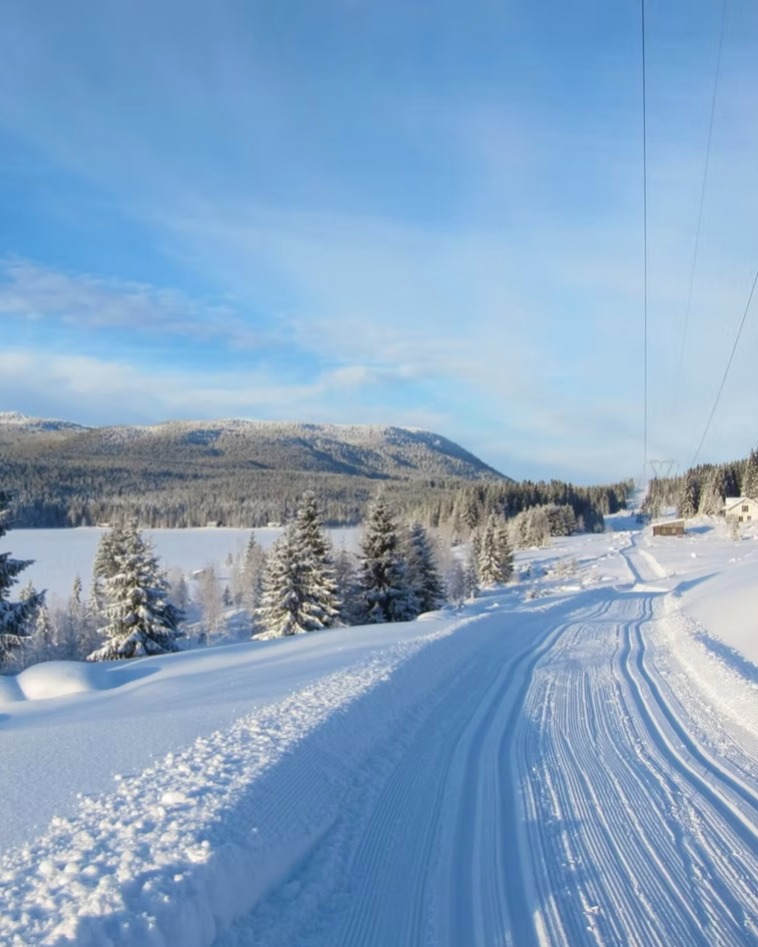 Visste du at Totenvika byr på massevis av flotte vinteraktiviteter? Vi har samlet sammen et utvalg av våre favoritt-aktiviteter på vinteren - i og rundt Evjua! Se hele listen på www.evjua.no/nyheter ❄️☃️
🎿 Langrenn
⛸️ Skøyter på Mjøsa
🎣 Isfiske
🏂 Puddernedfart
.. og mye mer