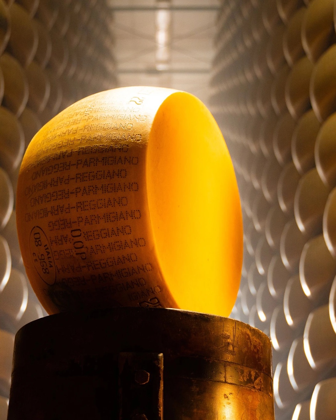 Mind the #Casellodoro!
Voliamo a Madrid ✈️
Accompagneremo il Consorzio del @parmigianoreggiano al Real Casino per la terza edizione del Casello d’Oro Awards che celebra i caseifici vincitori dei Palii e le migliori espressioni di qualità della DOP.
Un’occasione speciale per incontrare la stampa spagnola e internazionale e raccontare un’icona del Made in Italy, tra gusto e visione contemporanea.
.
.
#MindThePop #MediaRelation #DigitalAgency #Parma
