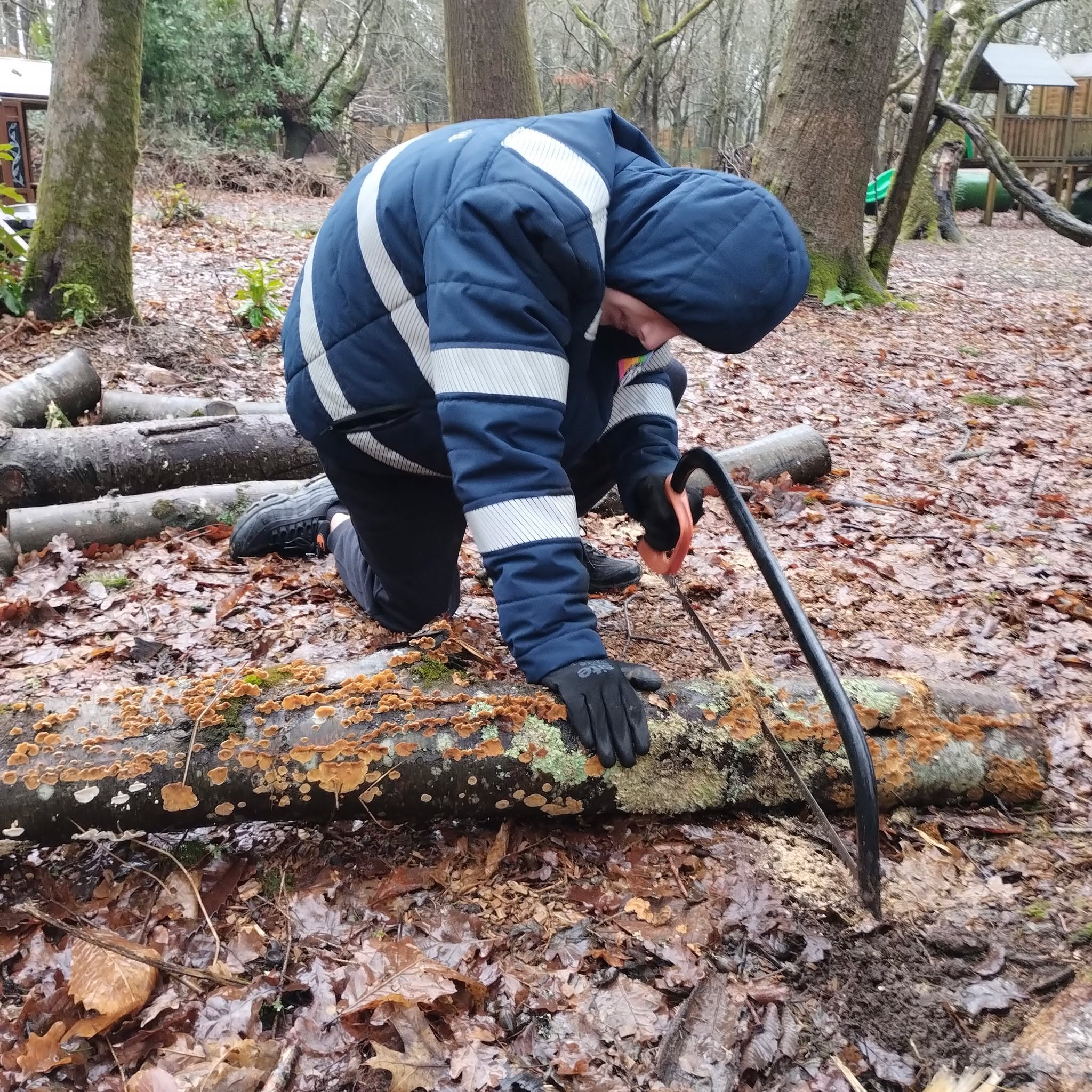 Our Duke of Edinburgh students have been hard at work completing the volunteering section of their award.
Students have been visiting Adventure Pirate, where they are helping to clear areas and develop new sections of walking paths for the pigs that live onsite, as well as creating outdoor play equipment for their new nature preschool. Their work has made a real difference to the environment and the wider community.
This experience perfectly reflects our school values of ambition, resilience and community, as students challenged themselves physically, worked together as a team, and gave their time to support a local organisation. It also links strongly to British Values, particularly mutual respect, responsibility and active citizenship.
Well done to all involved for showing such commitment and enthusiasm - a fantastic example of learning beyond the classroom!