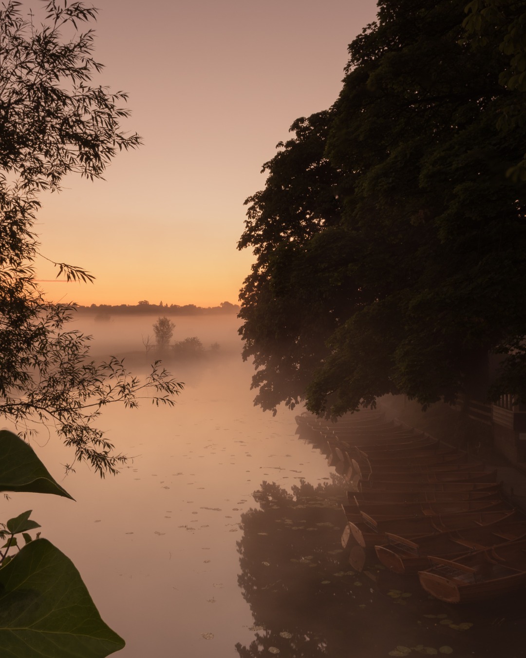 Guided Constable Country Walk and Lunch | Sunday 14th June at 10am
We're joined by art expert, Katie, from @gainsboroughshouse on 14th June for a 4-mile guided walk, exploring the landscapes, villages, and viewpoints that inspired John Constable’s most iconic paintings. To finish, drinks and lunch will be served from our Field Kitchen.
To find out more and book your space, tap the link in our bio and head to Events