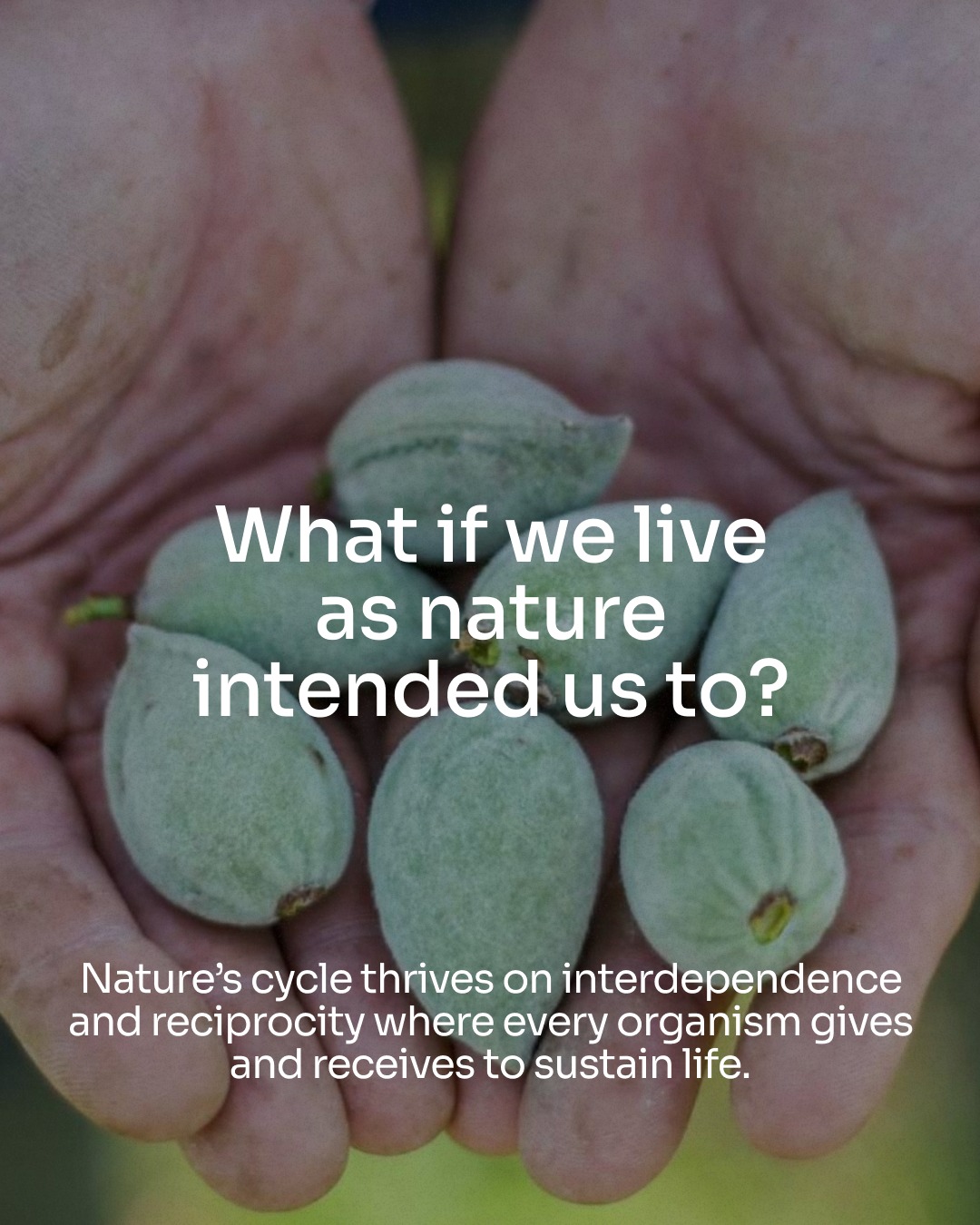 Over the past years, we’ve learned a lot about what truly matters in regenerative agriculture: people, purpose, and community.
When you become part of Top 50 Farmers, you gain access to a year-long farmer-first program to support the development of your leadership and business.
It’s rooted in co-creation and inspired by nature.
By listening, learning, and iterating from the farmers in each cohort, we develop approaches that support both business growth and ecological regeneration.
Top 50 Farmers is designed to strengthen farmers’ resilience, visibility, and networks because when farmers thrive, so do the ecosystems they steward and the communities they nourish.
Ready to learn more?
Swipe through to discover how Top 50 Farmers works.
#top50farmers #t50f2026 #T50F #regenag #regenerativeagriculture #regenerativefarming #soilhealth #knowyourfarmer #futureoffarming #europe