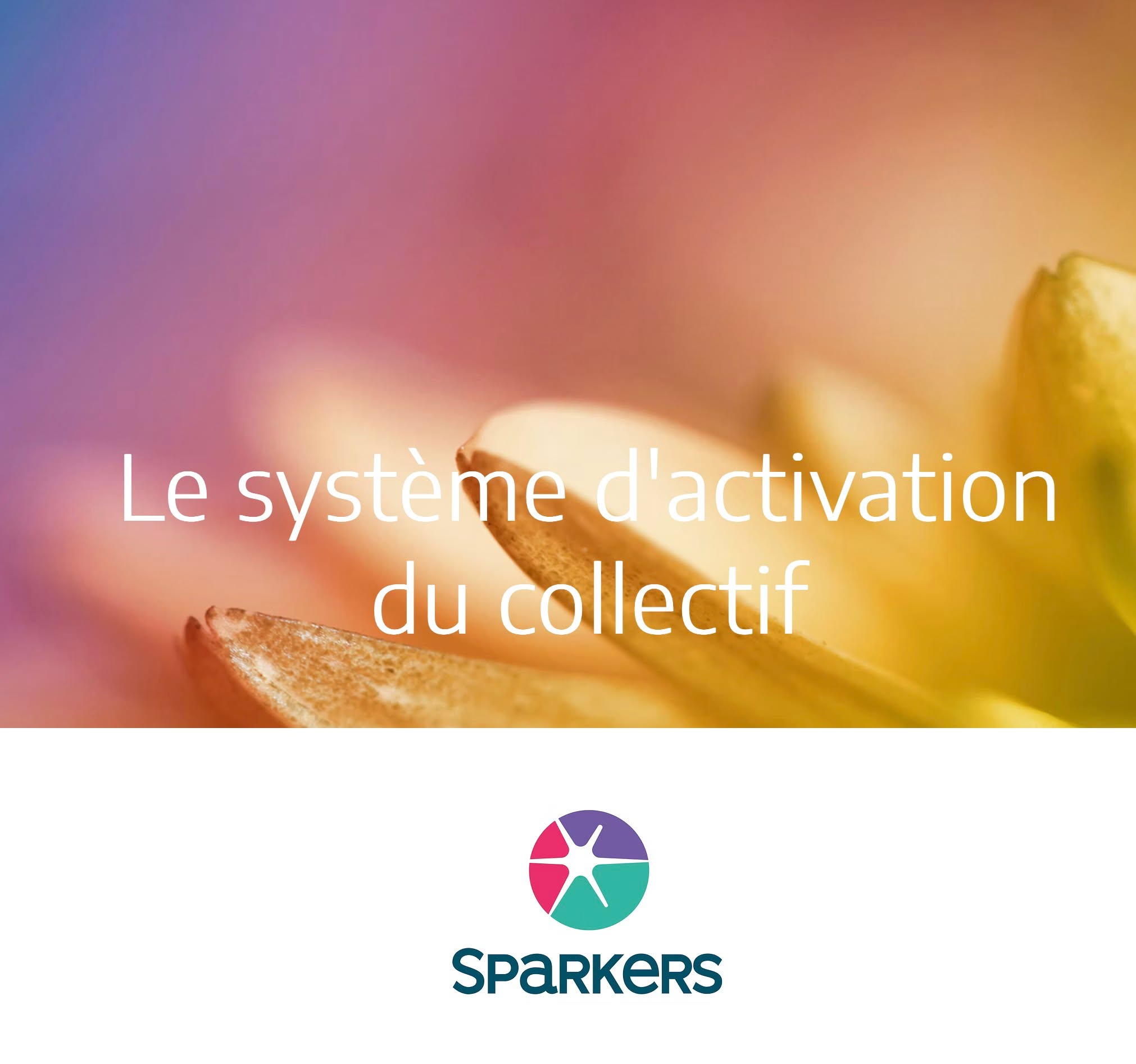 Programmes Sparkers : Libérez le potentiel de votre entreprise
Les programmes Sparkers de Kalinsar sont là pour revigorer la collaboration et l'engagement au sein de votre équipe. Ils ont pour but d'améliorer la communication, de renforcer les compétences en leadership et de cultiver un environnement de travail positif.
Pourquoi choisir les programmes Sparkers ?
🟠 Renforcez l'engagement : En participant aux programmes Sparkers, vos employés se sentiront valorisés et écoutés. Cela booste leur engagement envers l’entreprise.
🟠 Développez des compétences essentielles : Les formations offertes permettent aux participants d'acquérir des savoir-faire précieux, indispensables pour leur évolution professionnelle et leur contribution à l'organisation.
🟠 Renforcez votre culture d'entreprise : En mettant l’accent sur la communication et la collaboration, ces programmes créent un environnement inclusif et favorable au bien-être collectif.
🟠 Favorisez l'innovation : En formant des leaders capables de penser de manière critique et créative, vous aidez votre organisation à devenir plus agile face aux défis du marché.
🟠 Premier entretien offert : Pour vous aider à cerner les besoins spécifiques de votre équipe, le premier entretien est gratuit. C'est une belle occasion de voir comment les programmes Sparkers peuvent s’intégrer à votre contexte et maximiser vos résultats.
Investir dans les programmes Sparkers est une décision judicieuse pour toute entreprise qui souhaite instaurer une atmosphère de travail dynamique et performante. En intégrant ces initiatives au cœur de votre stratégie de développement, vous vous positionnez pour réussir dans un monde en constante évolution.
https://www.kalinsarconsulting.net/sparkers