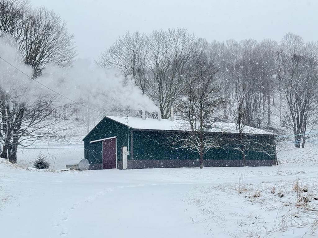 📸 🍁 SWEET SNAPS NEEDED! As we get ready for Maple Days 2026 we want to see what you've seen! Share your sweetest shots of all things maple and we'll share it as we get everyone excited for sugaring season! Click the link below to upload your best snaps!
https://shrpa.com/upload/pendletoncowv/mapledays26
#MountainStateMapleDays #mountainstatemapleday