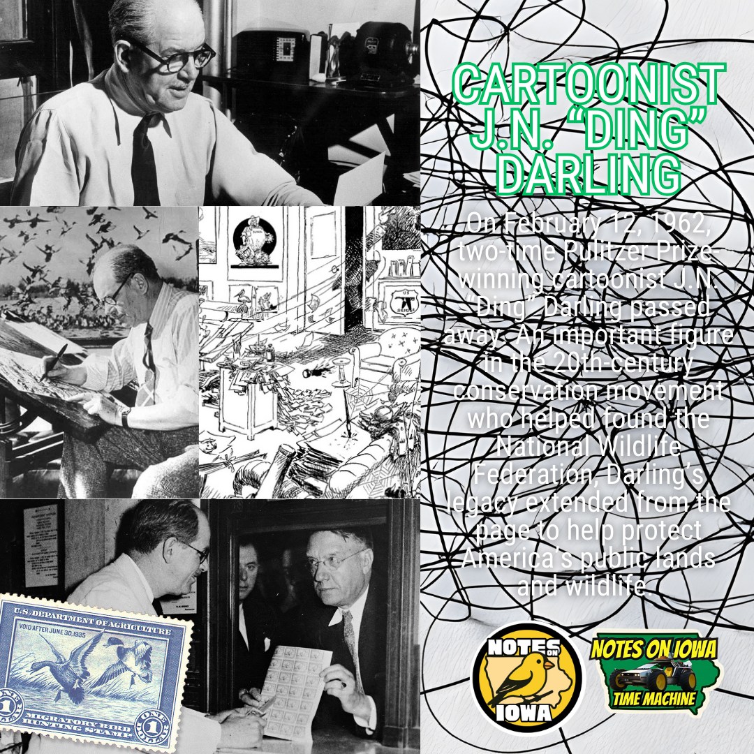 Iowa Time Machine ⏰: On February 12, 1962, two-time Pulitzer Prize-winning cartoonist J.N. “Ding” Darling passed away. An important figure in the 20th-century conservation movement who helped found the National Wildlife Federation, Darling’s legacy extended from the page to the field, helping protect America’s public lands and wildlife.
Born in Michigan, Darling’s family moved to Sioux City during his childhood, where He developed an early appreciation for nature and wildlife while wandering the prairie. He started to learn the importance of conservation as a youth after an uncle admonished him for shooting a wood duck during nesting season.
After college, Darling got a job at the Sioux City Journal before moving on to the Des Moines Register and Leader. After a couple of stints in New York, Darling returned to Des Moines, where he continued his career as a cartoonist, winning the Pulitzer Prize for Editorial Cartooning in 1924 and again in 1943.
Following the passage of the Migratory Bird Hunting Stamp Act in 1934, Darling designed the first Federal Duck Stamp. The J. N. "Ding" Darling National Wildlife Refuge on Sanibel Island in southwest Florida is named after him, as is the Lake Darling State Park in Iowa, which was dedicated on September 17, 1950. #Iowa #OTD #History #Cartoonist #Pulitzer