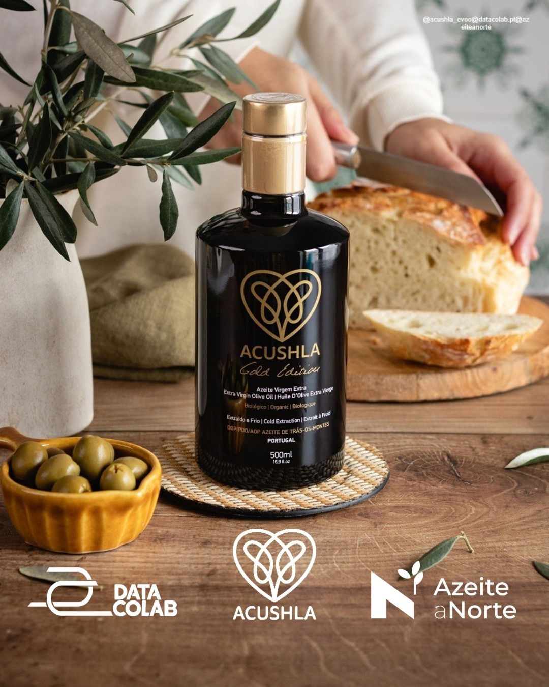 Do olival ao olhar. Da tradição à inovação. 🫒✨
Há séculos que Trás-os-Montes produz um dos melhores azeites do mundo. Agora, cada gota tem uma história digital que podes verificar.
O azeite Gold Edition, de Vila Flor, é o primeiro azeite português com Passaporte Digital do Produto. Basta um QR Code para saber tudo: que oliveira, que processo, que impacto, que história.
Não é só tecnologia. É orgulho. É transparência. É a certeza de que, quando dizes "este azeite é de Trás-os-Montes", podes provar.
A União Europeia vai tornar isto obrigatório nos próximos anos. Mas nós já começamos Porque quando o produto é autêntico e o território é genuíno, a transparência total não é risco — é vantagem competitiva.
Portugal pioneiro. Trás-os-Montes na linha da frente.
📍 Projeto: Azeite a Norte + Data CoLAB + ACUSHLA 🌍 Primeiro azeite português com rastreabilidade digital completa 🔗 Conhece a história: https://www.azeiteanorte.pt/rastreabilidade
#AzeiteaNorte #PassaporteDigital #TrásOsMontes #Olivoturismo #InovaçãoPortuguesa #AzeitePortuguês #Rastreabilidade #DPP #Sustentabilidade #TradaçãoComInovação #PortugalPioneiro #OlivosPorLá #VilaFlor #EconomiaCircular #Transparência