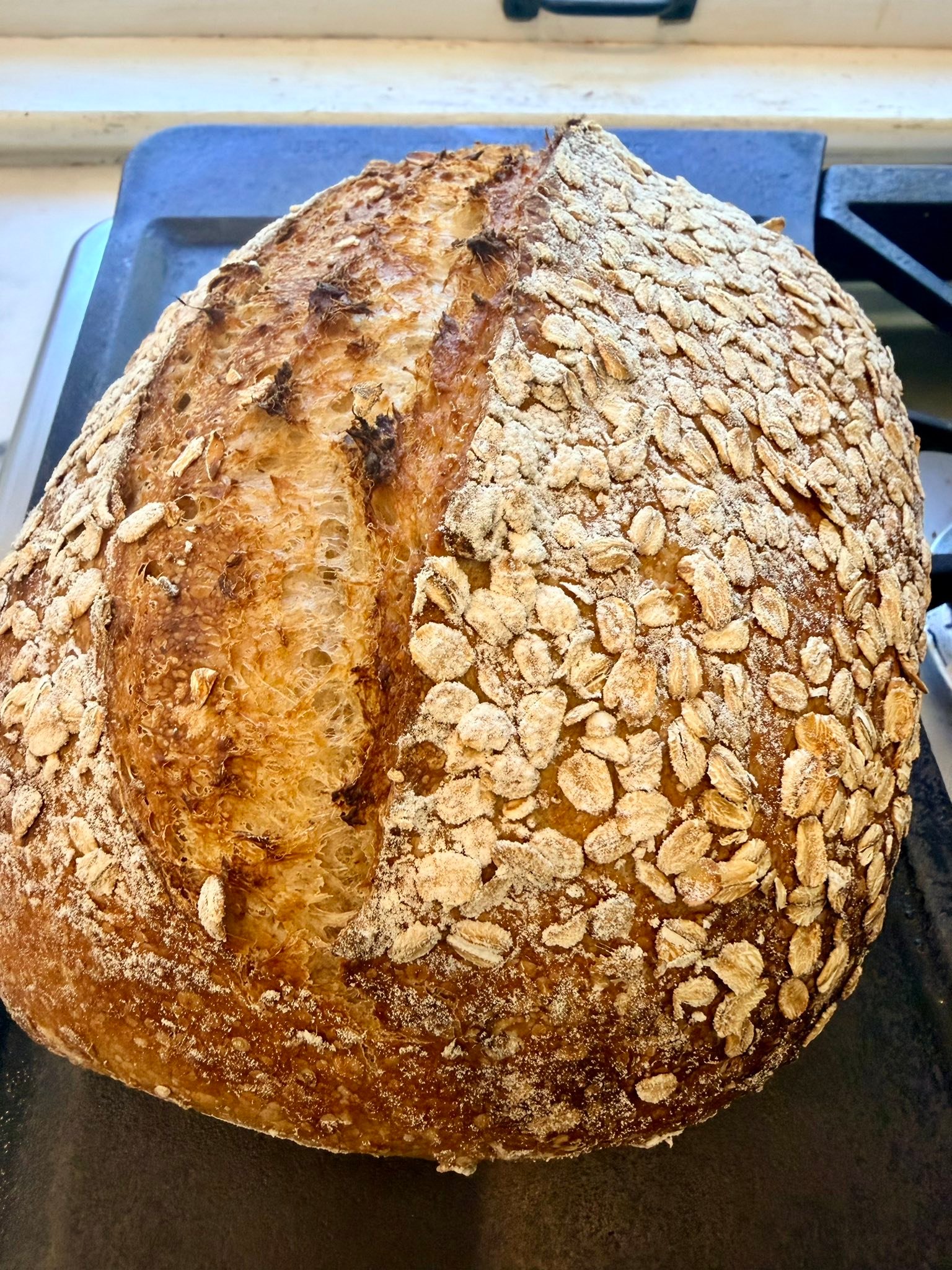 Oatmeal Sourdough Bread
DELICIOUS!!!