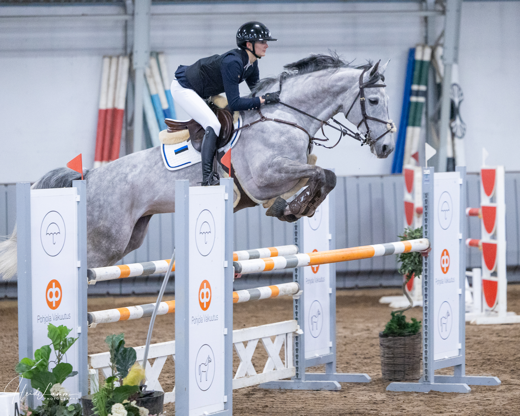 Ypäjä Horse Show 7.-8.2.2026
Olen kuvaamassa lauantaina ja sunnuntaina. Kuvien lisäksi on mahdollista tilata videoita. Voit laittaa minulle viestiä, jos olet kiinnostunut videoista, niin osaan priorisoida niitä.
Kuvia ja videoita voi tilata sivuiltani:
https://www.heidilammi.com/kuvat/2026/Ypäjä+Horse+Show+7.-8.2.2026/
Saat tilaamasi tuotteet sähköpostiin automaattisesti maksun jälkeen. Videot löytyy luokkakohtaisista kansioista.
Lauantain kolmen ensimmäisen luokan kuvat on julkaistu.
@hevosopisto
@srl.estekomitea