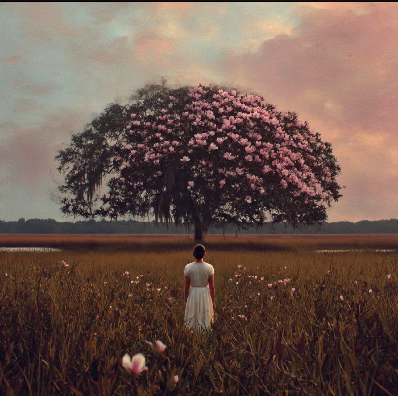 In Ecclesiastes, Solomon reminds us that God has placed eternity in the human heart.
For these precious ladies, the process they are walking through is more than a change of circumstance, it is a reawakening of what God placed within them long ago. Even after broken seasons, loss, and detours, the longing for meaning, wholeness, and restoration remains.
What the world tried to bury, God preserved. What life interrupted, God is still unfolding.
This is not the end of their story. This is the moment where roots take hold, hope begins to bloom, and eternity starts to feel near again.
What if we told you, you were not buried, but rather planted?
Donate today to this beautiful work at:
www.thisislivingministries.org/give
#thisisliving #tilm #fromaprison2apalace #cookevilletn