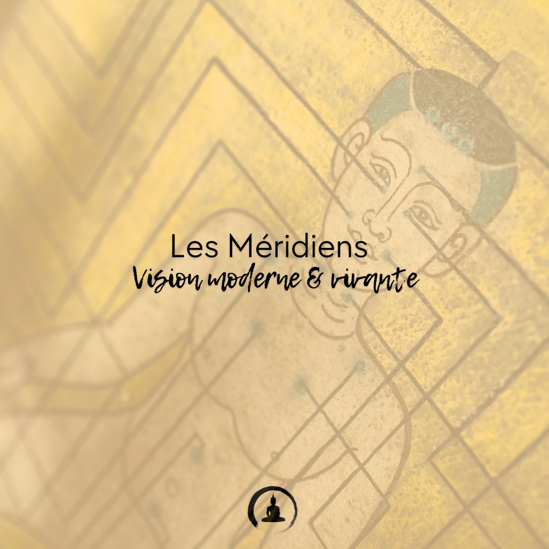 Les Méridiens
Vision moderne & vivante
Ils ne sont pas des lignes invisibles.
Ce sont des chemins réels dans le corps.
Un méridien, c’est un corridor de circulation.
Là où passent ensemble :
le Qi, le sang, la chaleur, la lymphe et l’information nerveuse.
Les méridiens ne sont pas des tubes.
Ce sont des zones fonctionnelles, qui s’activent, se bloquent ou se détendent selon ton état physique et émotionnel.
Un méridien, c’est un fascial track :
un chemin dans les tissus où le mouvement se propage et où les tensions voyagent.
Quand un méridien se bloque :
douleurs, raideurs, irritabilité,
digestion lente, fatigue, sommeil perturbé…
Le corps parle avant de crier.
Acupuncture, Qi Gong, Tui Na,
moxibustion, respiration, brossage à sec…
Toutes ces pratiques ont un but :
remettre du mouvement dedans.
Le Qi, ce n’est pas “de la magie”.
C’est ta circulation globale :
respiration + sang + lymphe + nerfs + chaleur.
Un seul mot pour décrire tout ce qui vit.
Quand les méridiens s’ouvrent, le corps respire, le mental s’apaise, et l’énergie revient.
Les méridiens, c’est la carte vivante de ton équilibre.
📍 Cabinet Zen Garden - Carouge
🔹 Acupuncture | Fasciathérapie | Thérapies énergétiques
🔹 Approche holistique pour harmoniser corps & esprit
🔹 Prenez soin de votre santé naturellement
📲 RDV & infos sur 👉 www.cabinet-zengarden.org
💬 Vous avez déjà essayé la Médecine Chinoise ?
Dites-moi en commentaire ! ⬇️
#MédecineChinoise #Acupuncture #Fasciathérapie #BienÊtreNaturel #ZenGarden #Carouge #SantéHolistique #ÉnergieVitale