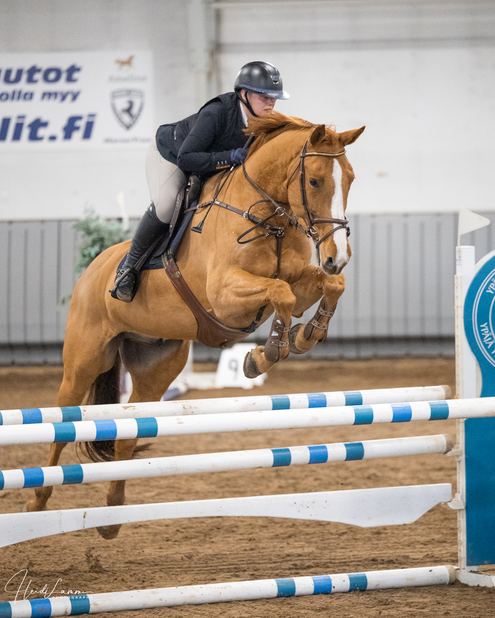Ypäjä Horse Show 7.-8.2026
Kuvasin lauantaina ja sunnuntaina kaikki luokat ja materiaali on nyt julkaistu interwebbiin. Kuvia ja videoita pääset tilaamaan täältä:
https://www.heidilammi.com/kuvat/2026/Ypäjä+Horse+Show+7.-8.2.2026/
Su -iltana en enää avaa tietokonetta, sillä parin tunnin kotimatkan jälkeen kutsuu suihku ja sänky. Kaikki tilatut videokoosteet toimitetaan maanantaina.
@hevosopisto