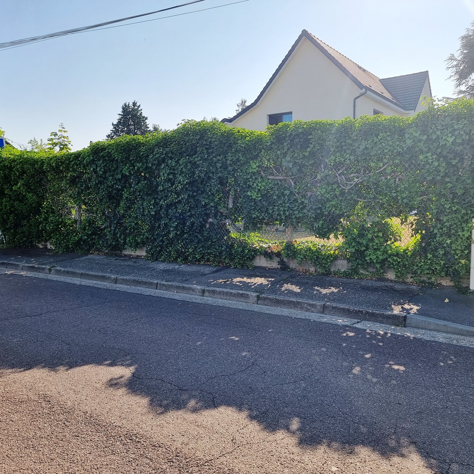 ✔️ Avant / Après ✔️
🚧 Réalisation GMS ALU 😉
🔄 Remplacement de l’ancienne clôture par une palissade aluminium à lames ventilées, coloris gris anthracite RAL 7016 💨
🛠️ De l’arrachage de la haie à la pose de la palissade, on s’occupe de tout !
📞 N’hésitez pas à nous consulter pour tous vos projets de :
☑️ Portail
☑️ Menuiserie
☑️ Clôture
☑️ Porte de garage
☑️ Porte d’entrée
Nous serions ravis de vous accompagner dans votre projet 📞💻
📲Contactez nous dès aujourd'hui pour votre futur projet😉
0️⃣2️⃣3️⃣5️⃣9️⃣1️⃣0️⃣7️⃣2️⃣3️⃣
📝Devis Gratuit
💻www.gmsalu.com
💻contact@gmsalu.com
#Portail #Clôture #Menuiserie #MenuiserieSurMesure #AménagementExtérieur #AménagementJardin #Aluminium #RAL7016 #PortailCoulissant #PortailBattant #Portillon #Construction #Travaux #Déco #HomeDecor #Home #HomeSweetHome