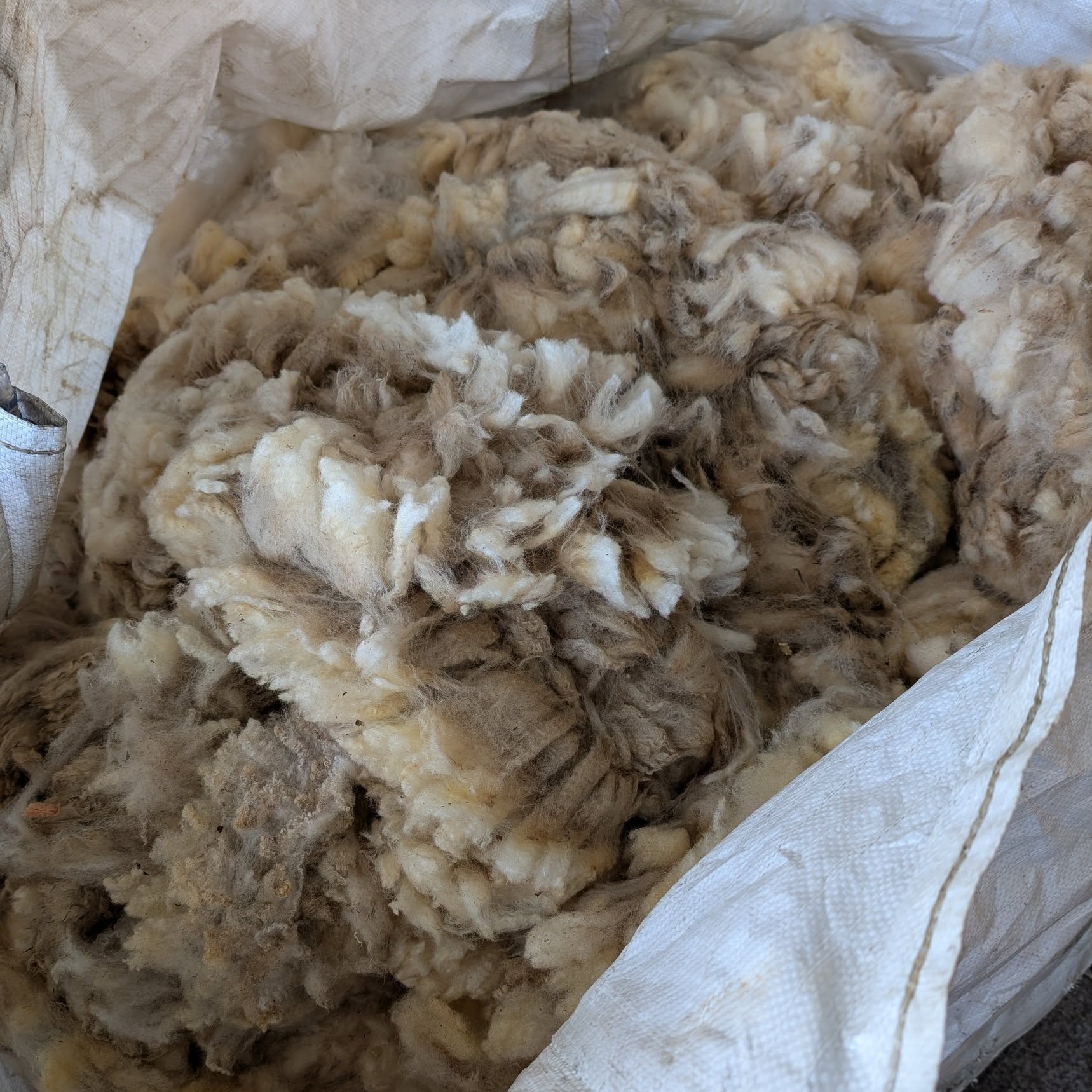 One of those productive but not very exciting days in the studio today - packing up 40kg of Poll Dorset skirted fleeces to go off for spinning, making up and sending out customer orders, washing most of a fleece and getting ready to do some dyeing over the weekend. It was great!
#woollycrafts #woolcraft #britishwool #creative #simplicity #rarebreed #simplelife #farmtoyarn #supportinglocalfarmers #slowlivingforlife