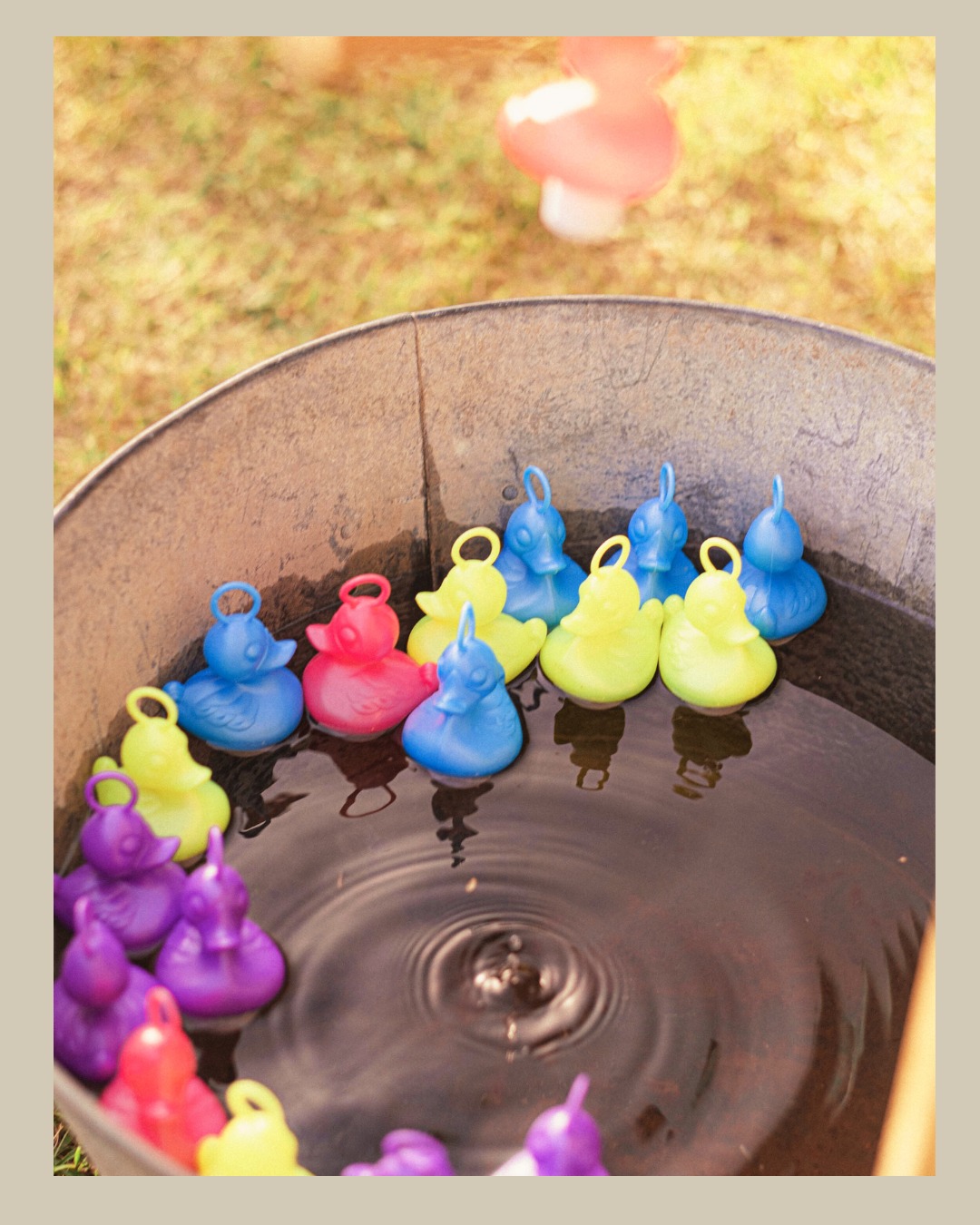 🦆✨ La pêche aux canards ! ✨🦆
Petits et grands, venez tenter votre chance 🎣
Couleurs, rires et souvenirs garantis 💛
Parfaite pour :
🎈 fêtes de village
🎉 événements associatifs
👶 anniversaires & kermesses
🏖️ animations estivales
👰mariage
Une animation incontournable qui fait toujours son effet 😍
📍 Disponible à la location partout dans l’Hérault et dans le Gard
👉 Contactez nous pour animer votre prochain événement !
#pecheauxcanards #animationenfants #evenementherault #feteduvillage #animationfamiliale #herault #jeuxenbois #animationfestive #suddelafrance
📸 @camille.leduc_photography