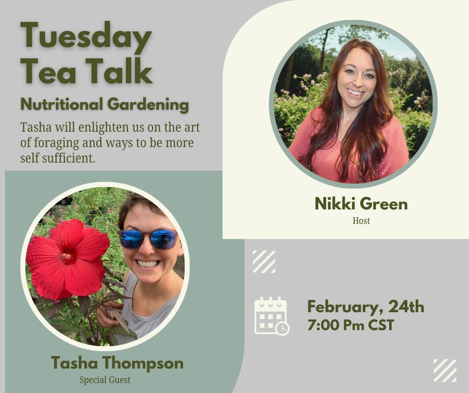 🌿 TTT Guest Night — Foraging made real
Join me February 24 at 7pm for a really good conversation with Tasha Thompson — Master Gardener through the University of Illinois Extension and a proudly self-taught forager who believes you don’t need a fancy background… you just need curiosity and the confidence to ask better questions.
Tasha is all about showing how simple it can be to start learning what grows around you — and how to use those plants for food AND medicine. She’ll also be sharing more about her upcoming free community forays (foraging walks + education) and how she’s helping people reconnect with the land in a very grounded, practical way.
✨ Plus, be sure to follow her page Rooted Gypsy for more of her beautiful, earth-rooted work.
Come hang out with me and Tasha and let’s talk real-life foraging.
#TTTChat #ForagingLife #RootedGypsy #MasterGardener #UofIExtension #GreenSproutLiving #FoodAsMedicine 🌿🍄