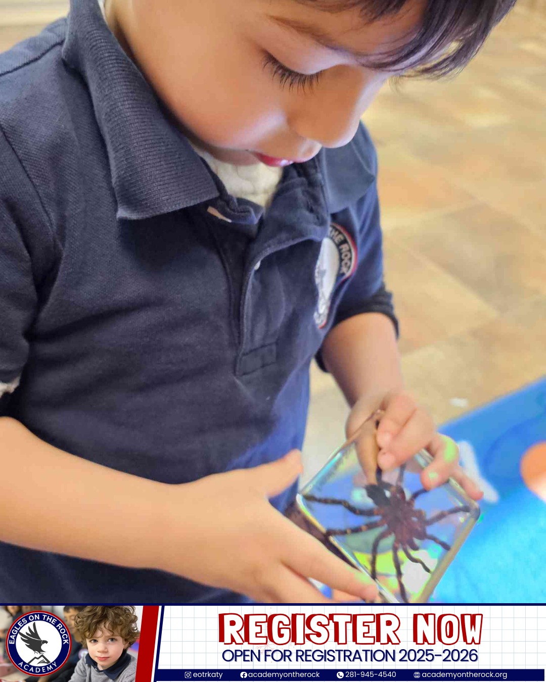 Little hands, big curiosity 🐞✨ Learning through discovery at Eagles on the Rock Academy.