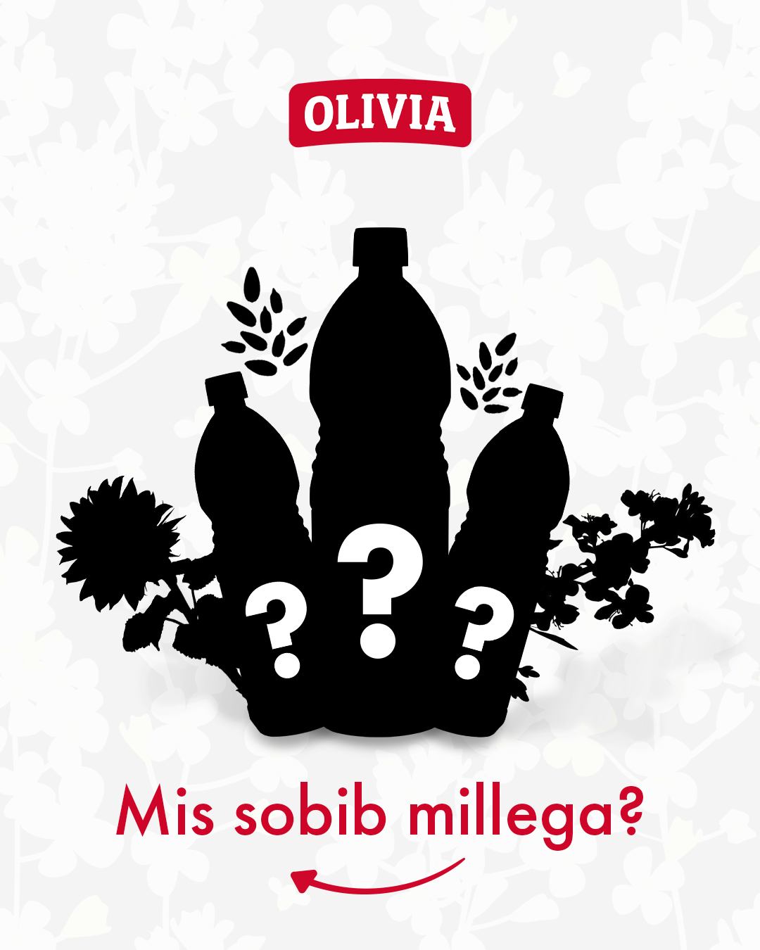 🔍 Mis sobib millega 🔍Kas teadsid, et igal Olivia õlil on oma roll köögis?🥗 Salatites....