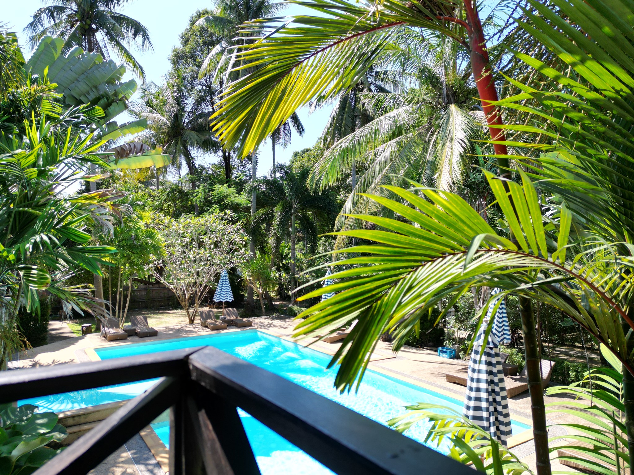 Cozy tropical lofts tucked away in vibrant, lush gardens, just steps from the serene garden pool and only 300 meters from the beach🌿
Enjoy our best direct booking rates here! ➡️ link in bio
📞094 432 8889
📩info@longbeachchalet.net
🌐www.longbeachchalet.net