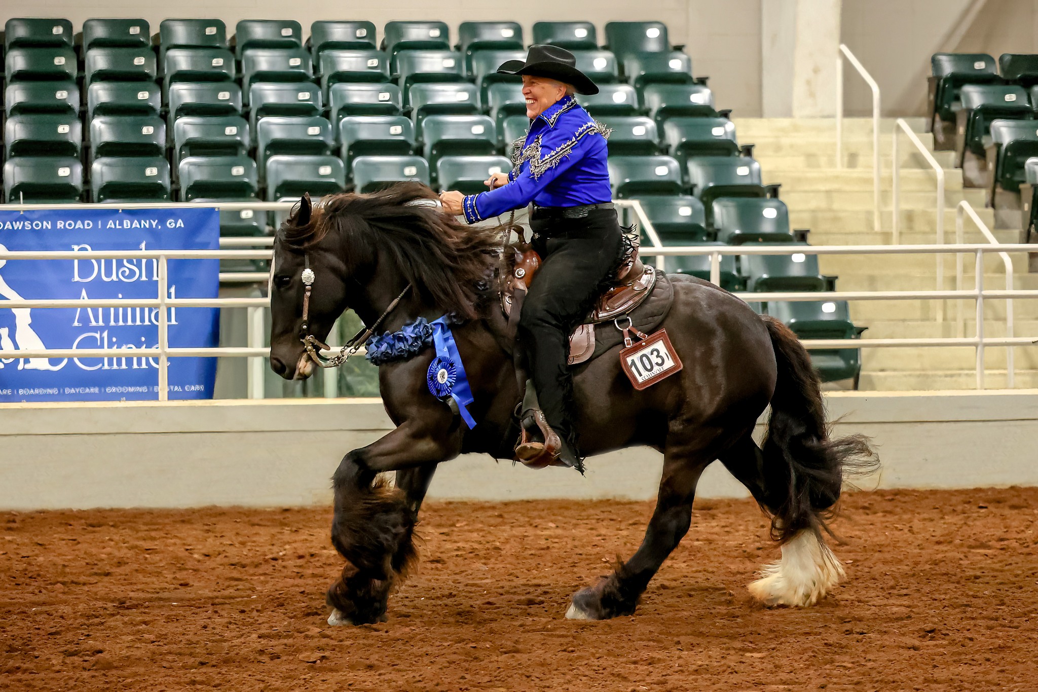 Congratulations to Tiny, a new Hall of Famer for the Gypsy Vanner breed! It was a joy watching them take the champion ribbon and victory lap at the @autumn_classic_charity_show.