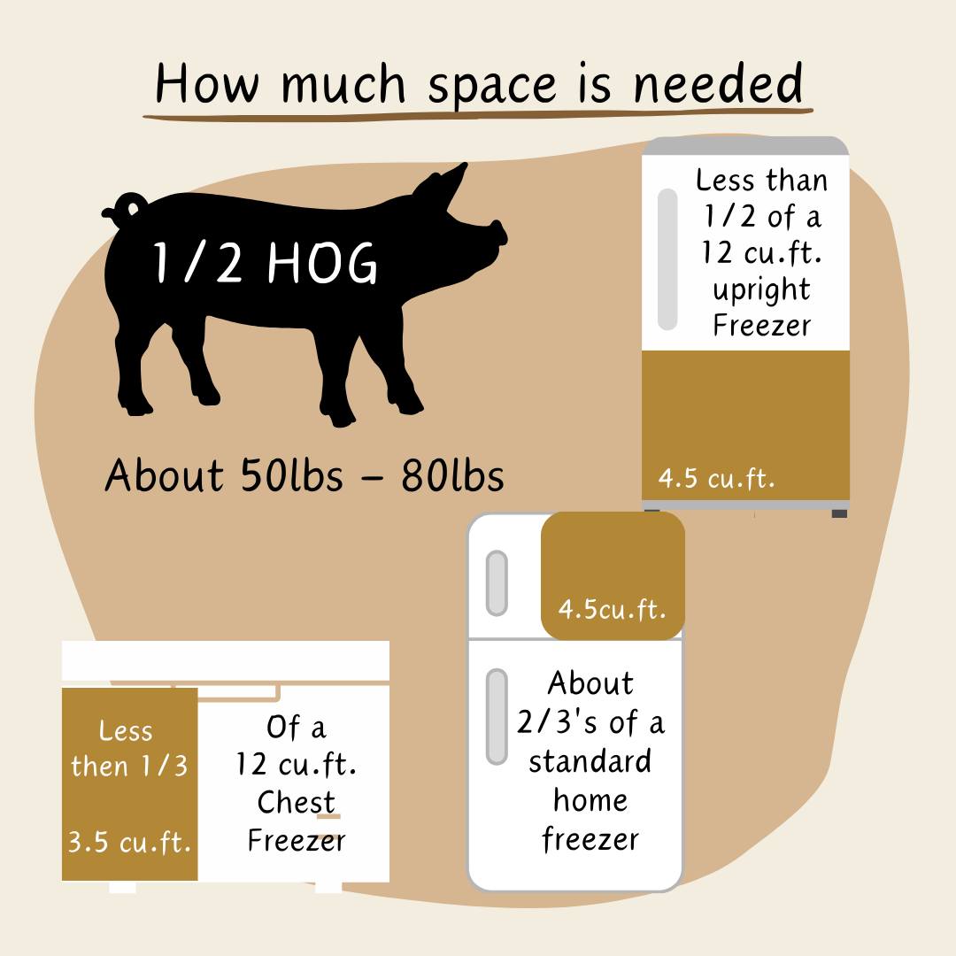Our Berkshire hogs will be ready for processing in late February. Please submit your completed cutsheet by February 22. The price is $6.50 per pound of hanging weight, which covers butchering and farm pickup about two weeks later. If you’re interested, text Becky at 518-573-1977.
All hogs are born and raised right here on our farm!
We offer half and whole hog options.
#berkshirepork #pork #knowyourfarmer #greenecountyny #hudsonvalleyfarm