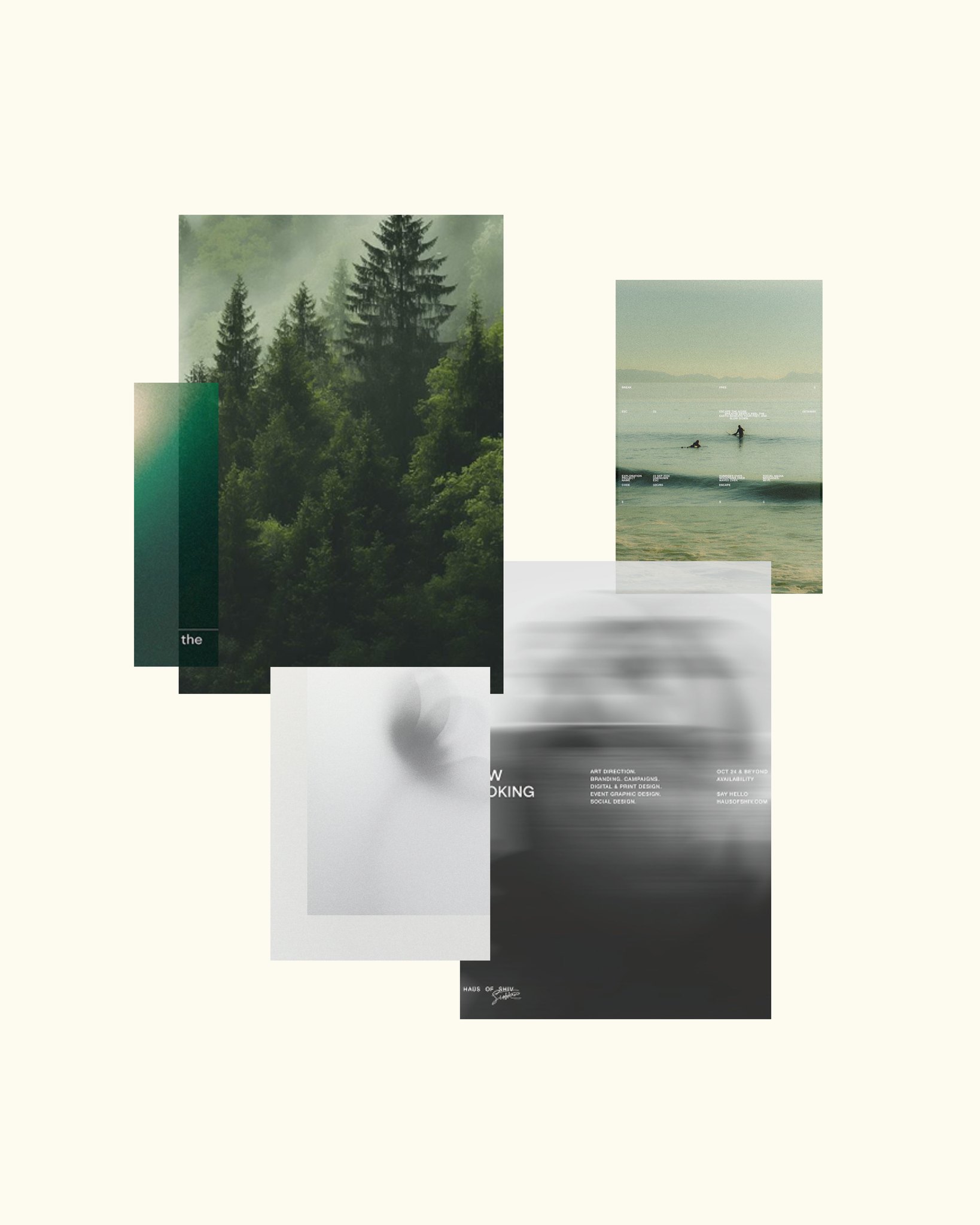 Midweek Mood Board ✨ We've been exploring themes around dark naturalism for a new client brief this week!
#midweekmoodboard #moodboard #designprocess #branddesign #visualdirection #creativestudio #designinspiration #natureinspired #darknaturalism #websitedesign #brandidentity #behindthework