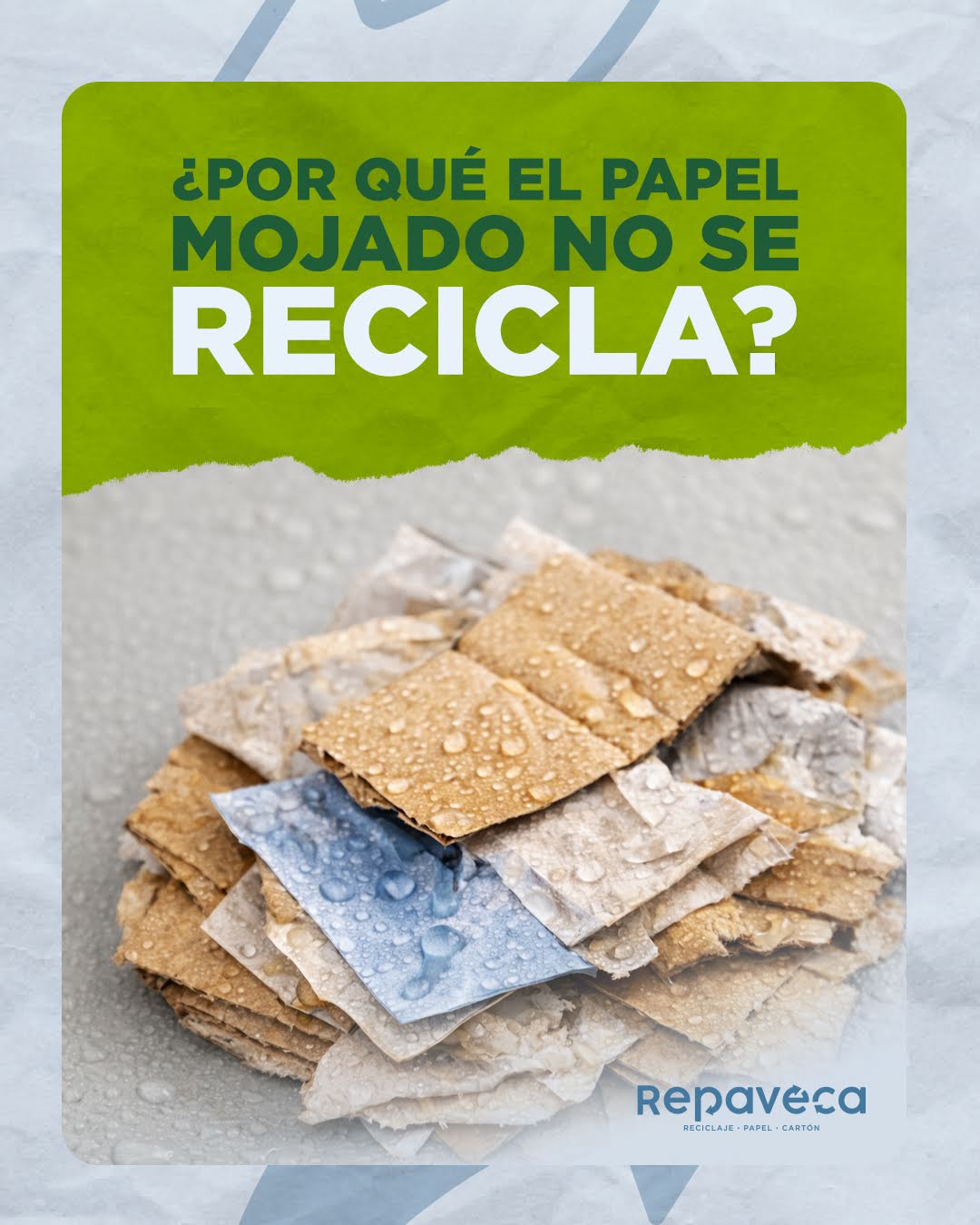 Solo un papel húmedo puede dañar varios kilos de papel limpio y reducir hasta un 30% la eficiencia del reciclaje.
💡 La buena noticia: si lo separas limpio y seco, tu papel y cartón pueden transformarse en nuevas hojas, cajas y productos reciclados, ahorrando recursos y energía.
Recicla correctamente con Repaveca y sé parte del impacto positivo.
📍 Zona Industrial Palo Verde, calle 2 de La Industria
📲 Contáctanos: Master: 0212-2516010 | WhatsApp: 0414-1211479
www.repaveca.com.ve/contacto
#Repaveca #Reciclaje #Venezuela #PlantaRecicladora #Ecoamigable #ReciclajeVenezuela #tipsdereciclaje #ReciclajeEnCasa