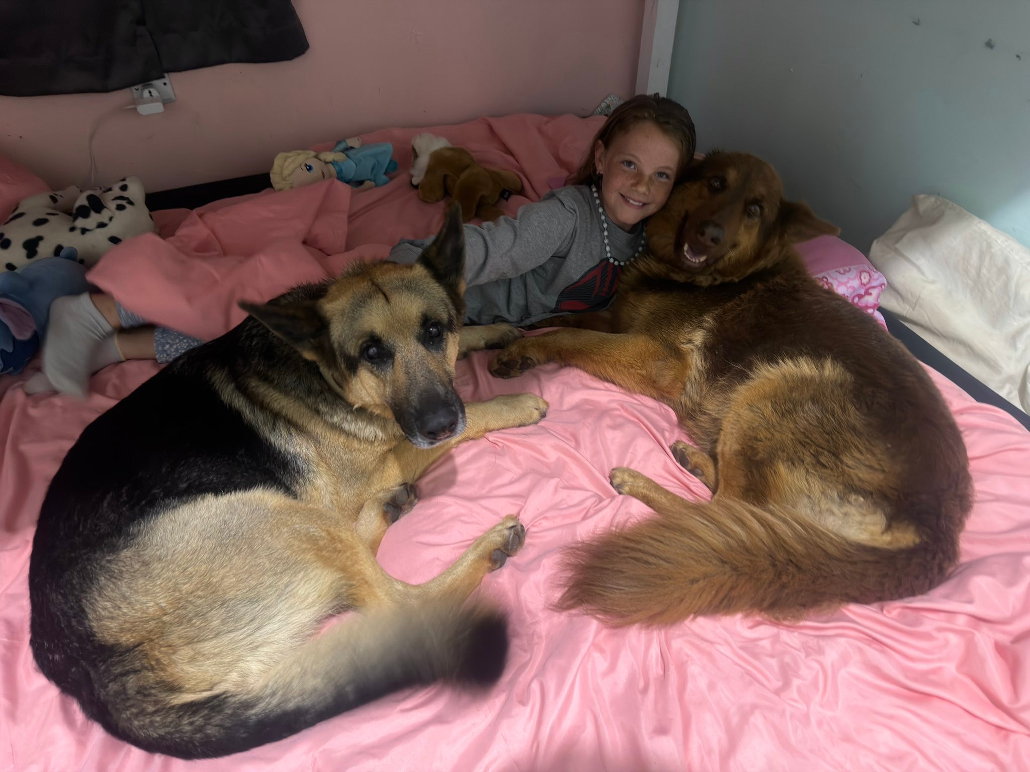 We were gone for a few days. Our doggies sure are glad we are back. 🥰