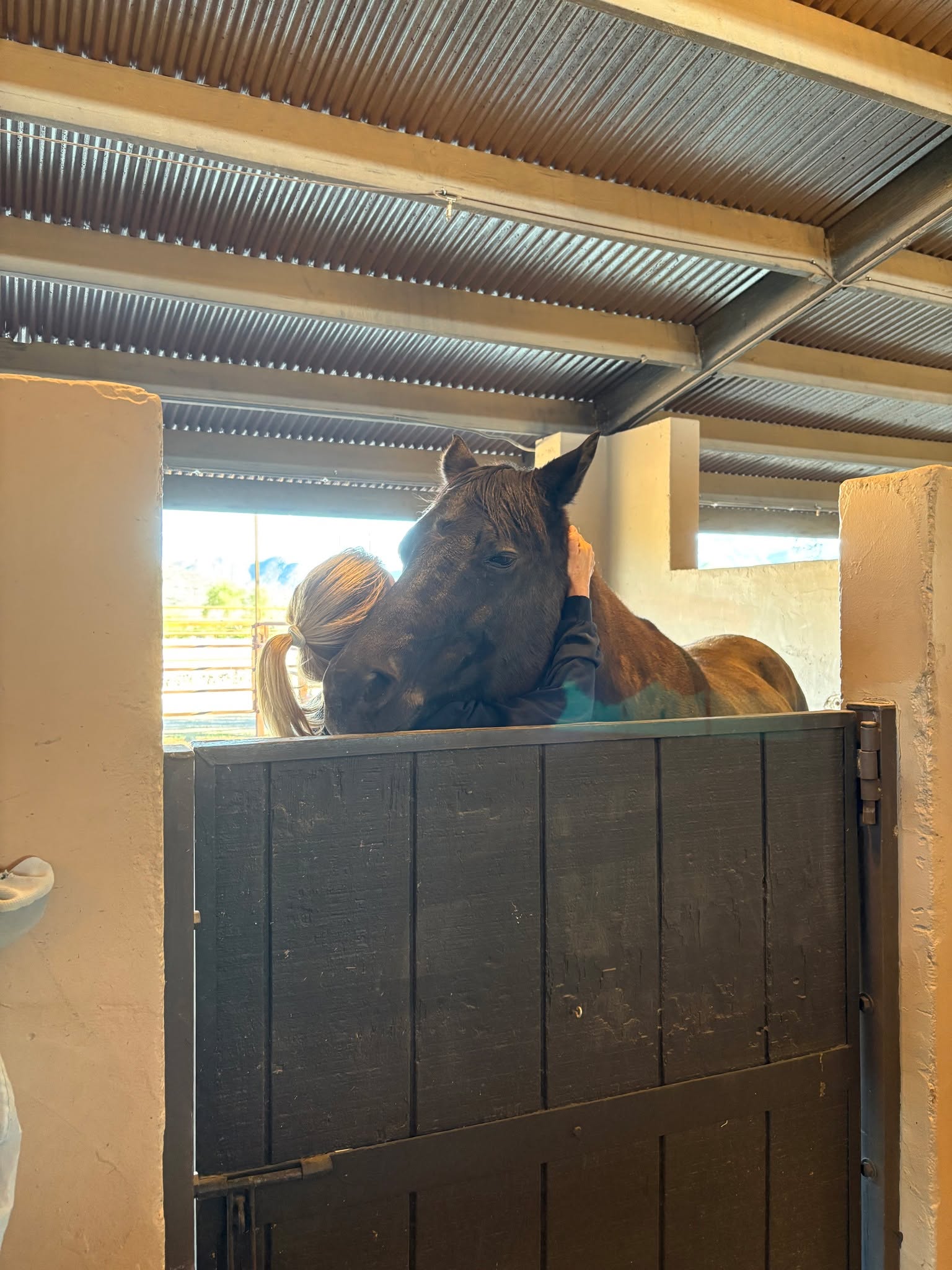 Everybody needs a hug from their mom sometimes and we really love how cuddly Blue is becoming in his old age! Need some horse snuggles of your own? Book a session for yourself today!
