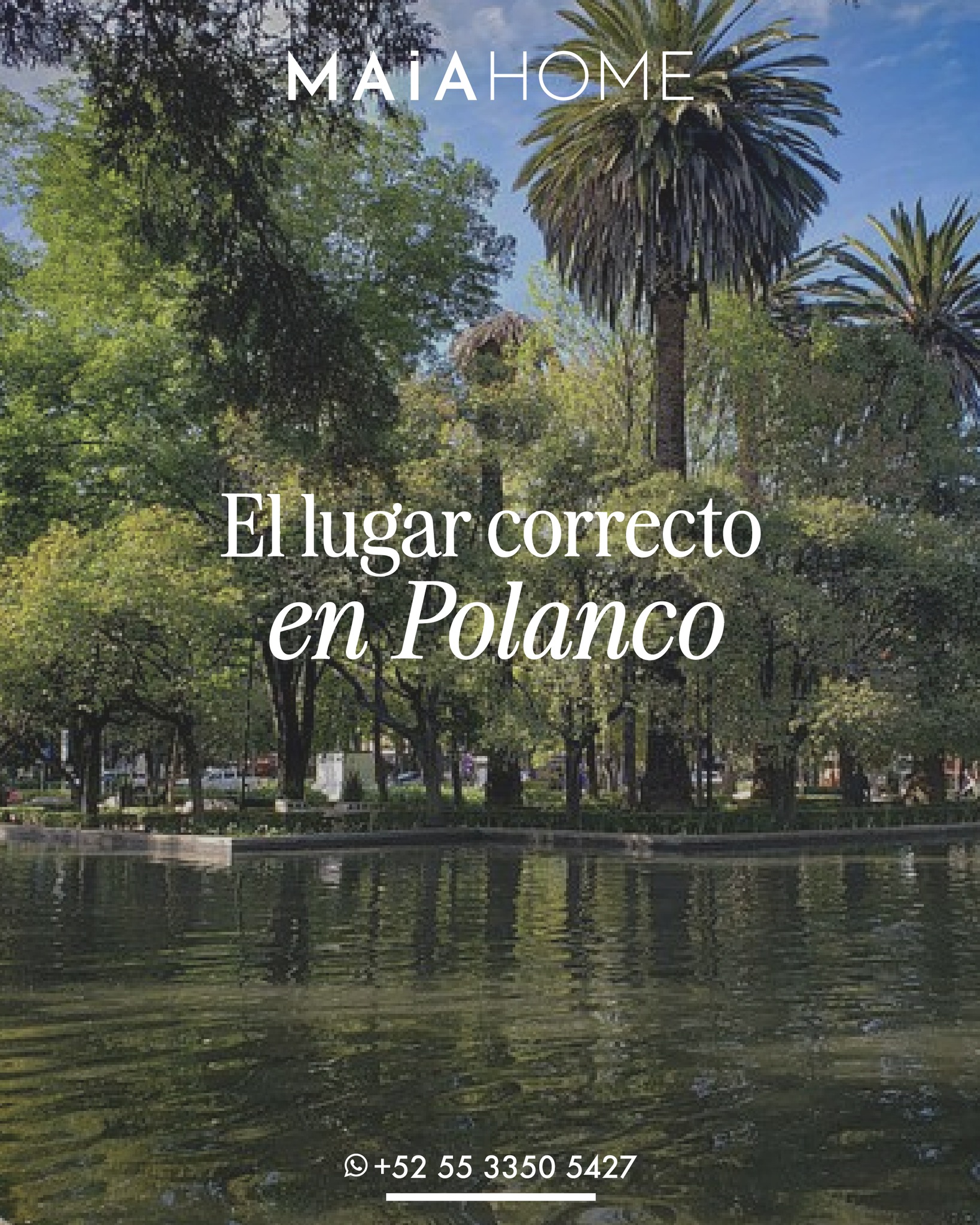 ⚜️¿Buscando el espacio perfecto para tu familia o grupo en Polanco? Laila Casa lo tiene todo:
💫Nuestros depas lo tienen todo.
🔸Departamentos Amueblados
🔸Accesos sin llaves
🔸Wifi alta velocidad
🔸Kit de Bienvenida
🔸Recorrido virtual
💻Reserva tu alojamiento en nuestra página web.
https://www.maiahome.mx
💯Airbnb / Vrbo / Booking.com / Tripadvisor
#Maia #MaiaHome #CorporateHousing #VacacionalRental #Polanco #deluxeapartments #Springtime #Apartments #Departamentos #Airbnb #Vrbo #Booking #Tripadvisor