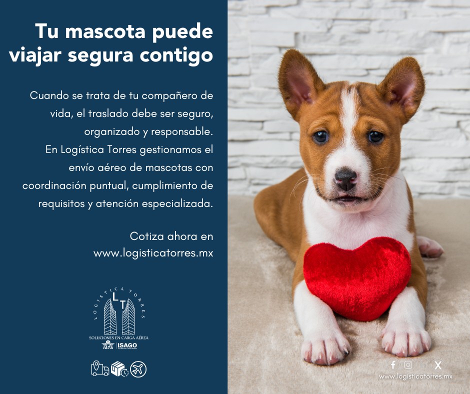 🐾✈️ Tu mascota puede viajar segura contigo
Cuando se trata de tu compañero de vida, el traslado debe ser seguro, organizado y responsable.
En Logística Torres gestionamos el envío aéreo de mascotas con coordinación puntual, cumplimiento de requisitos y atención especializada.
🐶 Transporte aéreo nacional
📋 Asesoría en documentación
🛫 Manejo adecuado y seguimiento
Porque no es solo un traslado.
Es confianza y cuidado en cada etapa del viaje.
📲 Contáctanos y planifica el viaje de tu mascota con respaldo profesional.
🐾 Viajan seguros. Llegan contigo.
.
.
.
.
#EnvíoDeMascotas #TransporteDeMascotas #MascotasEnAvión #CargaViva #LogísticaAérea #BienestarAnimal #ViajeSeguro #tucargasegura #tucargasegurayatiempo #logistica #volariscargo #logisticaytransporte #SomosLogisticaTorres #enviosnacionales