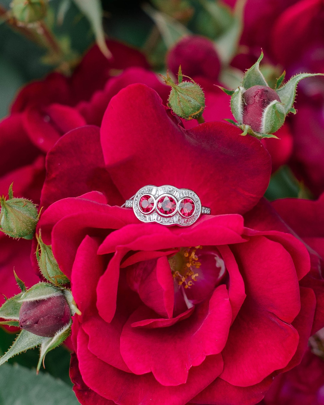 Some of our favorite Valentine’s Day shoots with clients we love. 💌
Featuring:
💍 @jewelintheseanantucket
🍫 @graemroasters
🌸 @nantucketperfumes
💎 @calistawest