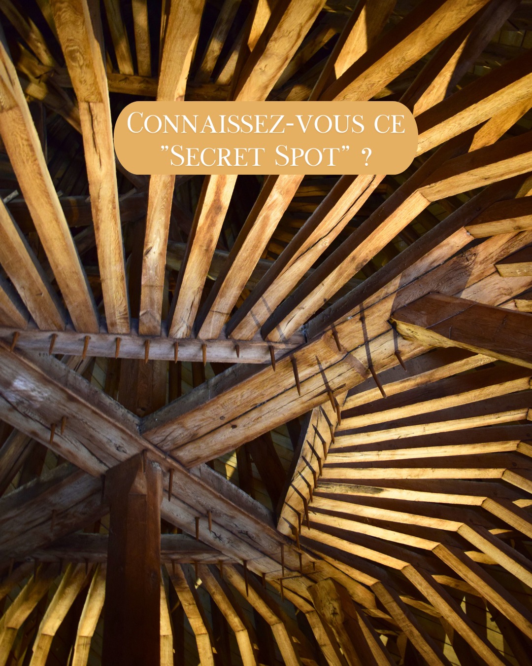 Jeux d'ombres et de lumière dans les coulisses de l'histoire🕯️
📷 Loire Itinerances
#Loireenvie #architecturelovers #patrimoine #exploration #history