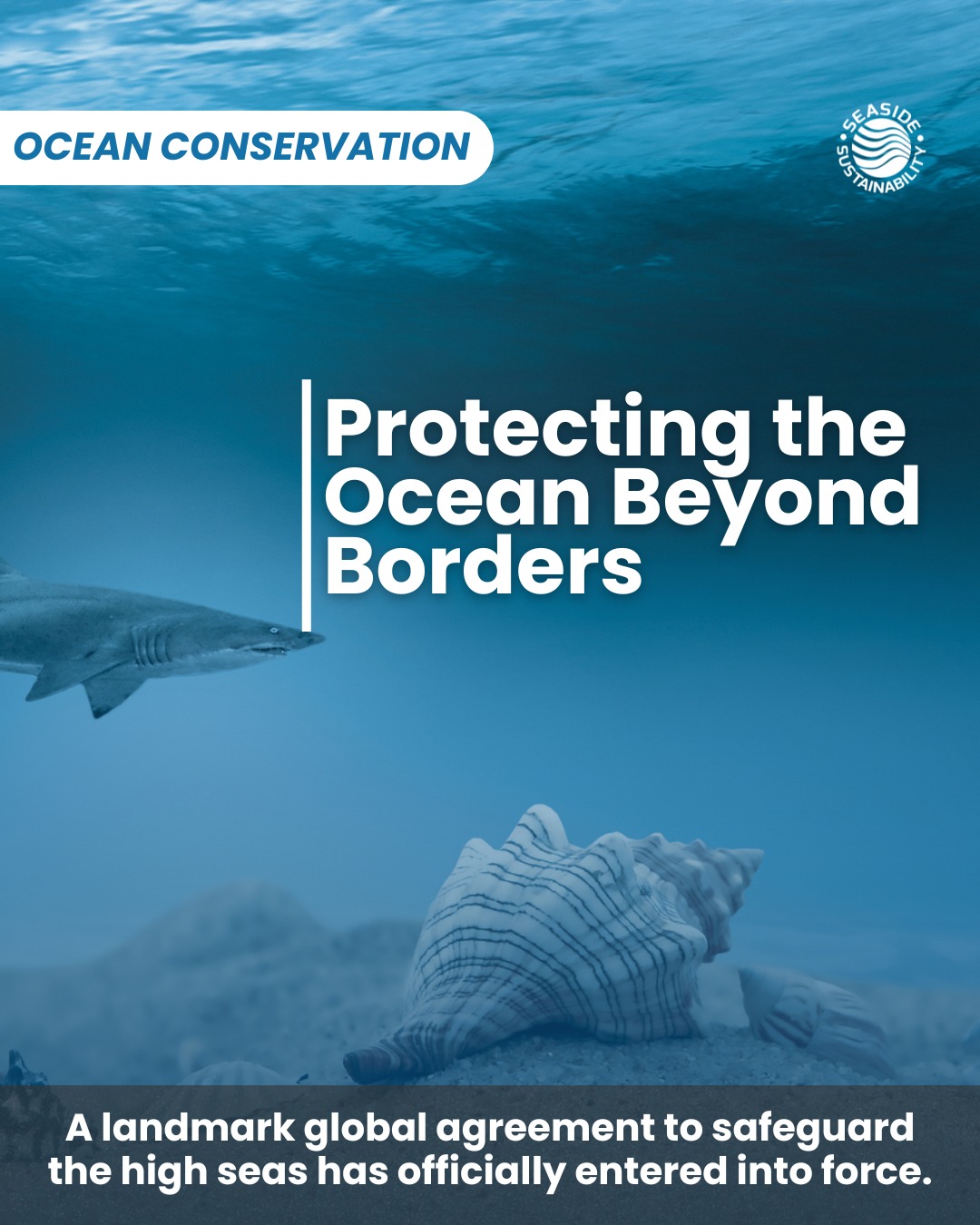 The High Seas Treaty represents decades of global cooperation, showing that protecting our ocean requires people, science, and shared commitment. #seasidesustainability #OceanAction #oceanConservancy #thehighseatreaty