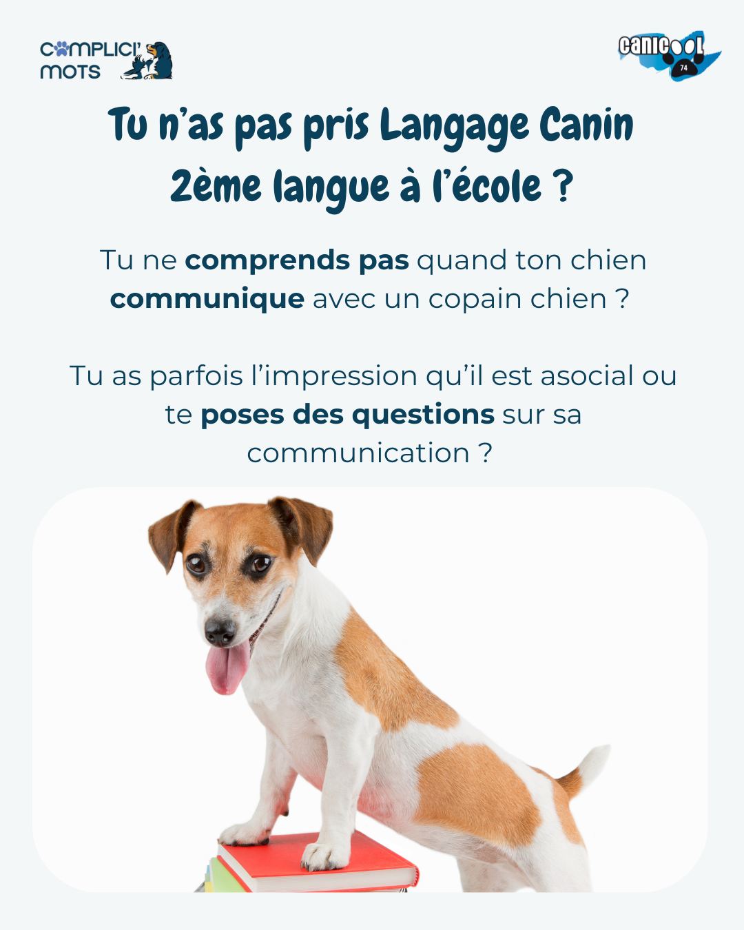 Tu aimerais mieux comprendre ce que les chiens se disent vraiment ?
-> Quand ils se figent. -> Quand ils détournent le regard.
->Quand ils s’approchent… ou évitent.
->Quand “il ne se passe rien”… mais qu’en réalité tout se joue.
Le langage canin ne se résume pas à un grognement ou à une queue qui remue. C’est souvent subtil. Nuancé. Contextuel.
Les 16 et 17 avril 2026, dans le bassin annécien (Poisy), je vous propose avec Carolle un stage 100% pratique pour apprendre à :
✔ Observer les interactions sans interpréter trop vite
✔ Choisir les bons duos de chiens
✔ Comprendre quand intervenir… et quand laisser faire
✔ Mieux accompagner les humains dans la lecture de leur chien
✔ Construire et gérer un groupe en respectant les équilibres
Ce stage s’adresse :
• Aux particuliers passionné·es qui veulent aller plus loin
• Aux professionnel·les du chien
• À celles et ceux qui acceptent de remettre en question leurs certitudes
Avec Carolle Sayagh de Je Guide et J’Éduque– experte en langage canin – nous travaillerons sur des situations réelles, en environnement sécurisé.
8 places avec chien
4 places auditeur
📍 Poisy 74330
📅 16 & 17 avril 2026
🎓 100% pratique
Si tu veux apprendre à voir ce que tu ne voyais pas encore…ce stage est pour toi.
