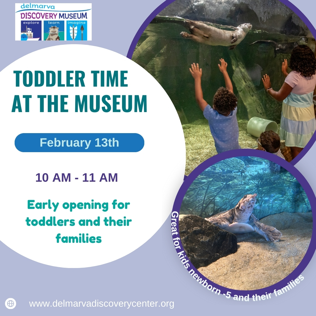 Our next Toddler Time at the Museum is this Friday, February 13th! Enjoy an early opening at 10 AM for kids ages newborn to 5 and their families! See you there!
