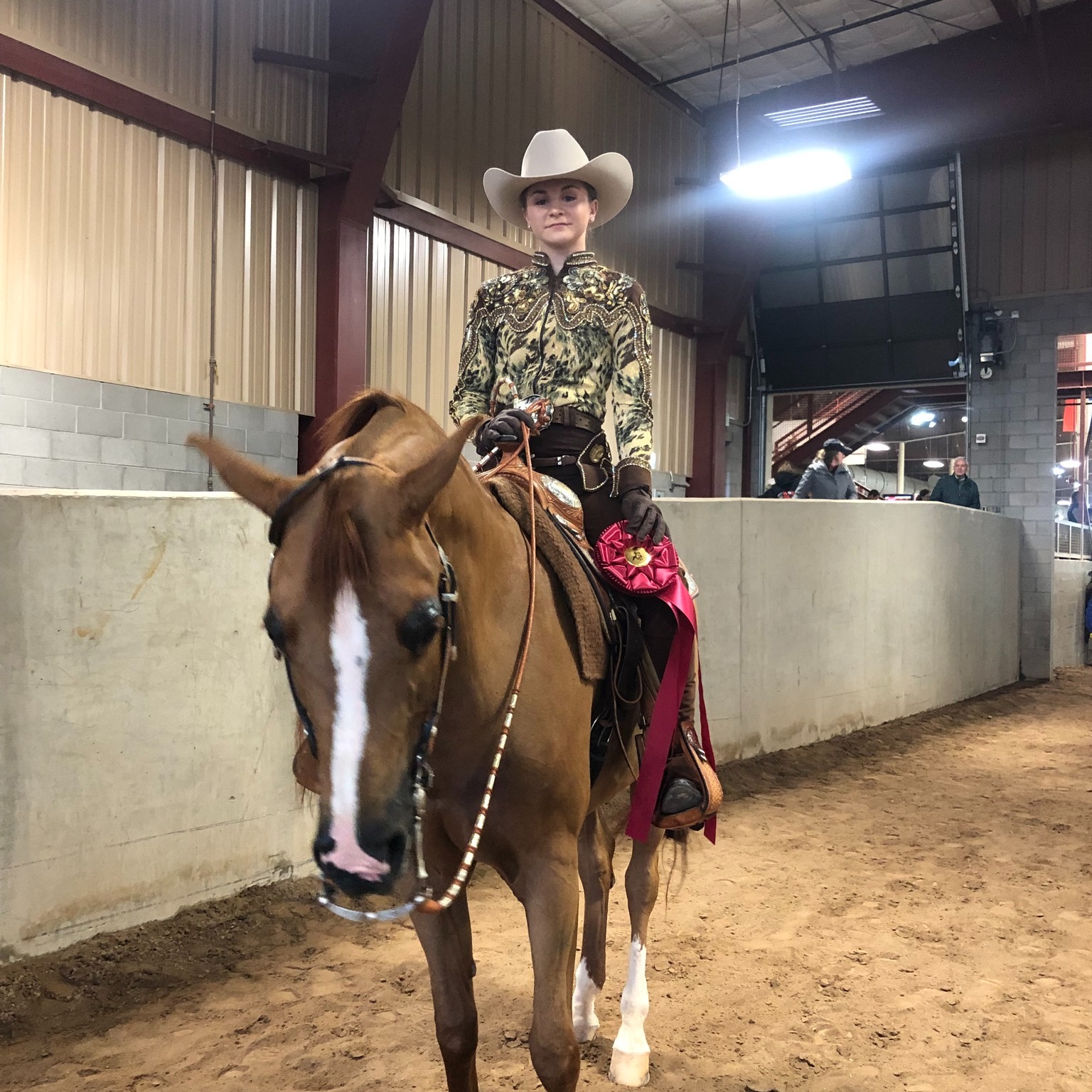 It's Scottsdale Arabian Horse Show week! Head out to Westworld and experience the world's most versatile breed of horse (at least in our opinion). Take a peek at some of our favorite Scottsdale memories over the years!