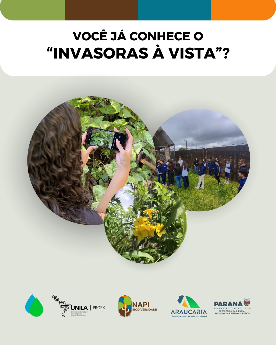 Você conhece o “Invasoras à Vista”? 🌿🔍
O Invasoras à Vista é uma iniciativa que faz parte do projeto de extensão Grupo de Estudos Sobre Ciência Cidadã, da UNILA, que promove a participação da comunidade no monitoramento de plantas exóticas invasoras em Foz do Iguaçu.
Para manejar essas espécies, precisamos de informações, como: Quais são? Onde ocorrem? Quais impactos causam? E é aí que você entra! O monitoramento é feito pelo aplicativo iNaturalist, onde qualquer pessoa pode registrar fotos das plantas encontradas.
🤳🌱 Ciência Cidadã na prática: você observa, registra e ajuda com o monitoramento!
Quer participar? O guia de monitoramento participativo está na fase final de preparação. Acompanhe nossas redes para saber quando será lançado e como participar da iniciativa!
✨ Sua participação faz a diferença!
Texto: Julia Nayara
Fotos: iNaturalist
#cienciacidada #educacaoambiental #biodiversidade