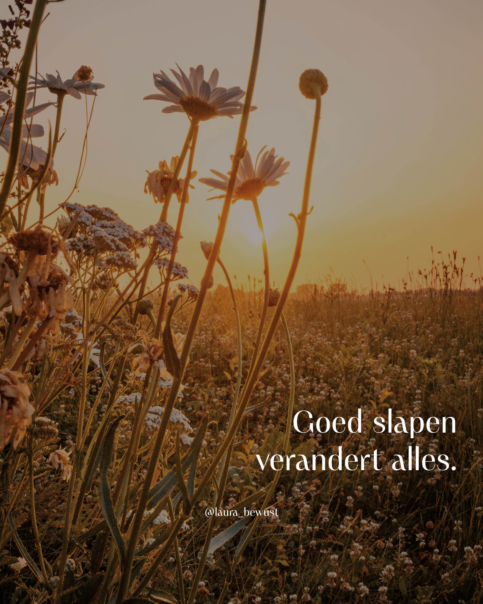 Je bent moe, doodmoe zelfs. Maar zodra je in bed ligt begint je hoofd te malen… Of je valt wel in slaap, maar wordt midden in de nacht wakker en ligt dan urenlang te woelen.
Overdag sleep je je erdoorheen. Met koffie, met wilskracht, met de gedachte "Vanavond ga ik vroeg naar bed". Maar als het zover is, herhaalt hetzelfde patroon zich. Wéér.
Wat je je misschien niet beseft is dat chronische slapeloosheid zelden aan de oppervlakte ligt. Het is niet alleen een verkeerd kussen, te veel beeldschermtijd of de verkeerde gedachten. Het zit veel dieper dan dat.
Als je systeem eindelijk de ruimte krijgt om écht te rusten, gebeurt er iets fundamenteels:
😌 Je emoties stabiliseren. Die golfbewegingen van irritatie, verdriet of angst vlakken af. Niet omdat je ze onderdrukt, maar omdat je lichaam de kans krijgt om te verwerken wat er ligt.
🙂 Je fysieke klachten verminderen. Chronische vermoeidheid, zware benen, hoofdpijn, die permanente mist in je hoofd – het lost op. Niet van de ene op de andere dag, maar wél merkbaar. Stap voor stap.
🤩 Je mentale helderheid keert terug. Want slapen is niet passief. Het is het moment waarop je brein ordent, integreert, verbindingen legt. Uitgerust wakker worden betekent letterlijk met meer inzicht je dag in stappen.
Je hele systeem komt tot rust. En vanuit die rust ontstaat er ruimte voor alles wat je eigenlijk wilt ervaren in je leven.
Optimale nachtrust vraagt om meer dan een kopje kruidenthee of een meditatie. Het vraagt om transformatie op cellulair niveau.
In de audio 'Optimale nachtrust' gaan we naar de kern. We her-programmeren je onderbewustzijn, oude slaappatronen lossen op en er ontstaat ruimte voor een nieuw ritme dat écht bij jóú past.
De audio is nu beschikbaar in mijn online bewustzijnsomgeving. Na aankoop kun je direct aan de slag. Je hebt dan maar liefst 14 dagen de tijd om de audio te beluisteren en je slaappatroon fundamenteel te transformeren.
Check de link in bio voor meer informatie en investeer in diepe, herstellende slaap! 🌙💫
#optimalenachtrust #transformatie #herstel #nachtrust #onderbewustzijn #slaappatronen #energiek #mentalehelderheid #emotionelerust #beterslapen