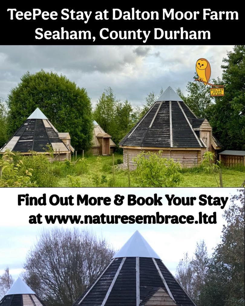 The TeePees at Dalton Moor Farm are open for bookings for 2026 and 2027.
Find out more and reserve your stay at www.naturesembrace.ltd
Early bird rates available now.
#offgrid #unplugged #natureescape #natureconnectedness #heal #reset