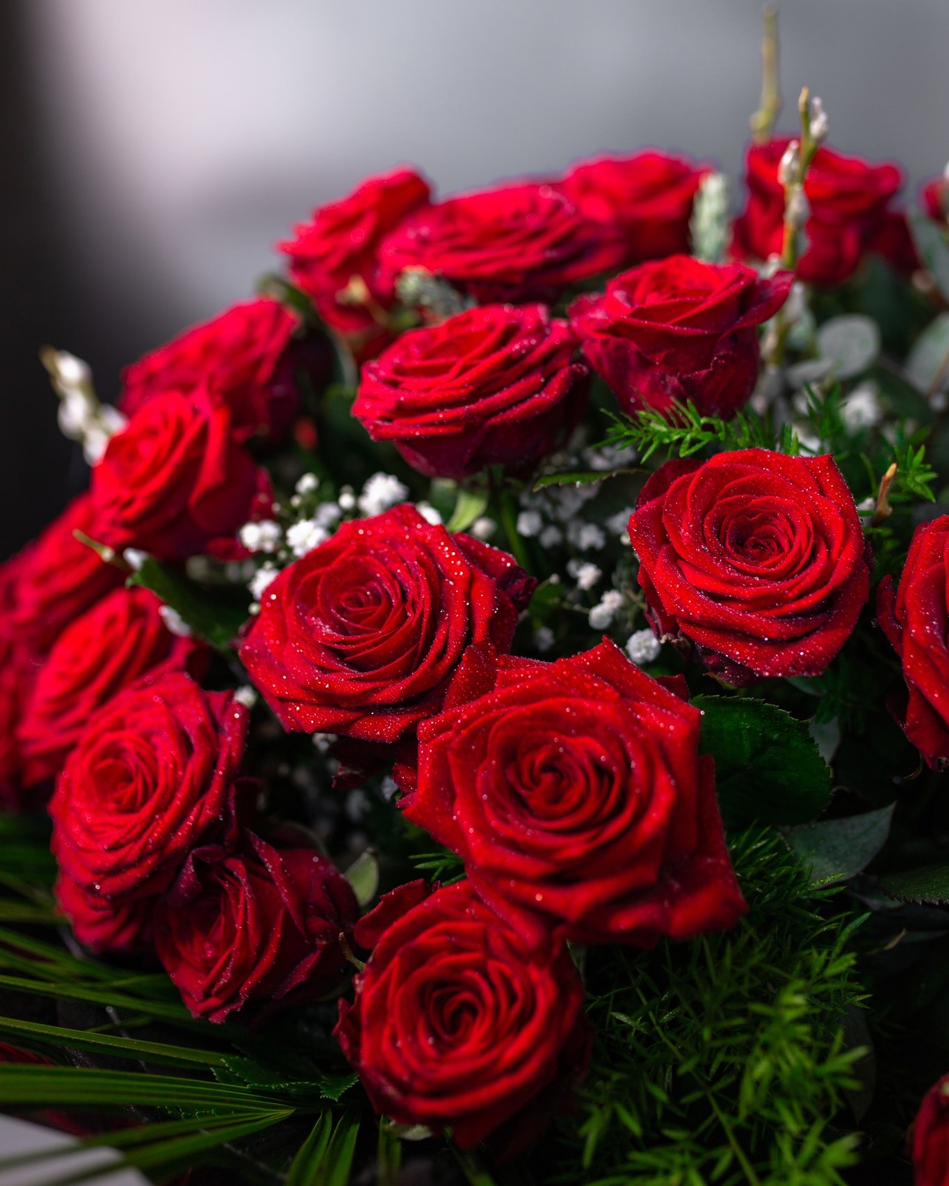 Last call, lovebirds! 💕
We’re in the final days to order your Valentine’s Day flowers! Don’t wait until the 14th and hope for the best — make sure your special someone gets something beautiful 🌹✨
Order now before we sell out!
Call - 061312666
Online - www.lawlessflowers.com
Shop - 52 Roches Street Limerick
#loveisintheair #valentinesday #valentinesflowers