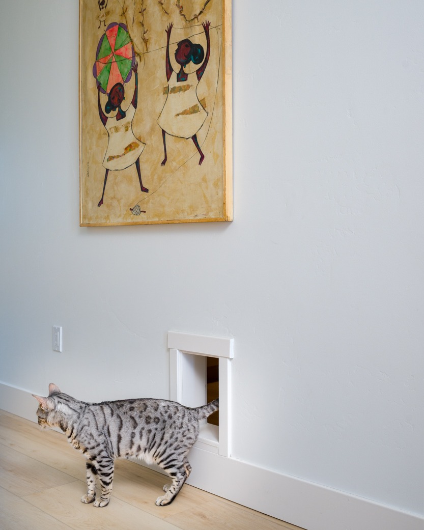 ✅Carefully staged the art.
✅Dialed in the light.
And then the homeowner’s “creative director” walked through the cat door and approved the final shot.🤣
Because no luxury home is complete without a tiny, four-legged inspector making rounds.
Architectural lines. Clean white walls. Thoughtful artwork.
And a surprise cameo that steals the show.
Real estate and architectural photography is about capturing the space — but sometimes it’s about capturing the life inside it too.
If your listings (or your clients) come with personality, I’m here for it.
📩 Now booking interior & architectural sessions — pets optional, but highly encouraged.
.
.
#production #InteriorPhotography #VisualStorytelling #DesignFocused #ModernLiving #CreativeStudio #joncahillphoto #InteriorDesign #Custom #CatsOfInstagram