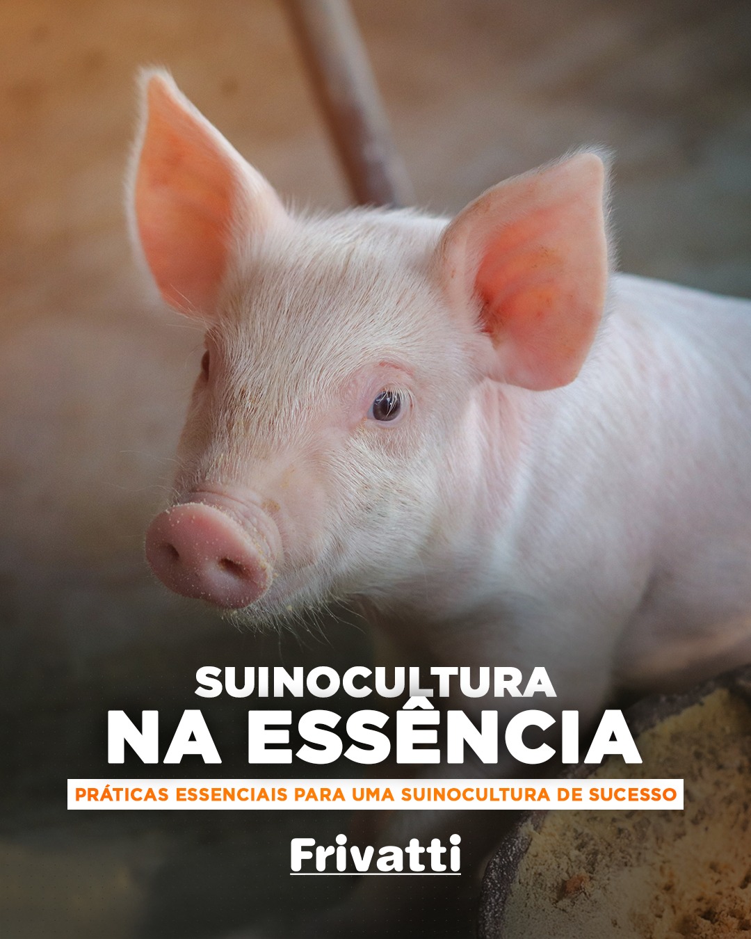 Uma suinocultura de sucesso começa no cuidado com cada detalhe. Do manejo ao controle sanitário, da nutrição à sustentabilidade, são as boas práticas que garantem produtividade, qualidade e confiança em toda a cadeia. Na Frivatti, esses princípios fazem parte do dia a dia e orientam cada etapa do processo produtivo.
Quer entender melhor como essas práticas se conectam e por que elas são essenciais para o futuro do setor?
👉 Acesse o site da Frivatti e leia a matéria completa:https://www.frivatti.ind.br/post/práticas-essenciais-para-uma-suinocultura-de-sucesso