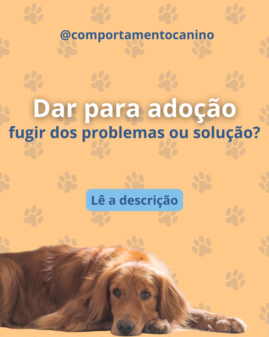 Dar para adoção resolve os problemas… ou é fugir deles?
Nem todas as entregas para adoção são iguais.
Há situações de vida que realmente fogem ao controlo: mudanças inesperadas, problemas de saúde, dificuldades financeiras ou familiares. Nessas circunstâncias, a decisão pode ser dolorosa, mas responsável quando é feita a pensar no bem-estar do patudo.
Mas há uma diferença importante.
Quando a entrega acontece por causa de comportamentos como destruição, ansiedade de separação, reatividade, medo ou agressividade, muitas vezes não estamos perante “um patudo impossível”… estamos perante um patudo que precisa de orientação.
O comportamento canino não é aleatório.
É comunicação, aprendizagem e adaptação ao ambiente.
Na maioria dos casos, os comportamentos podem ser trabalhados com acompanhamento adequado, consistência e compreensão das necessidades do patudo. Dar para adoção sem procurar ajuda profissional é, muitas vezes, apenas transferir o desafio para outra família e aumentar o risco de o animal voltar a ser rejeitado.
Adotar é um compromisso.
E educar faz parte dele.
Antes de desistir, procura ajuda.
Muitas situações têm solução. 🐾