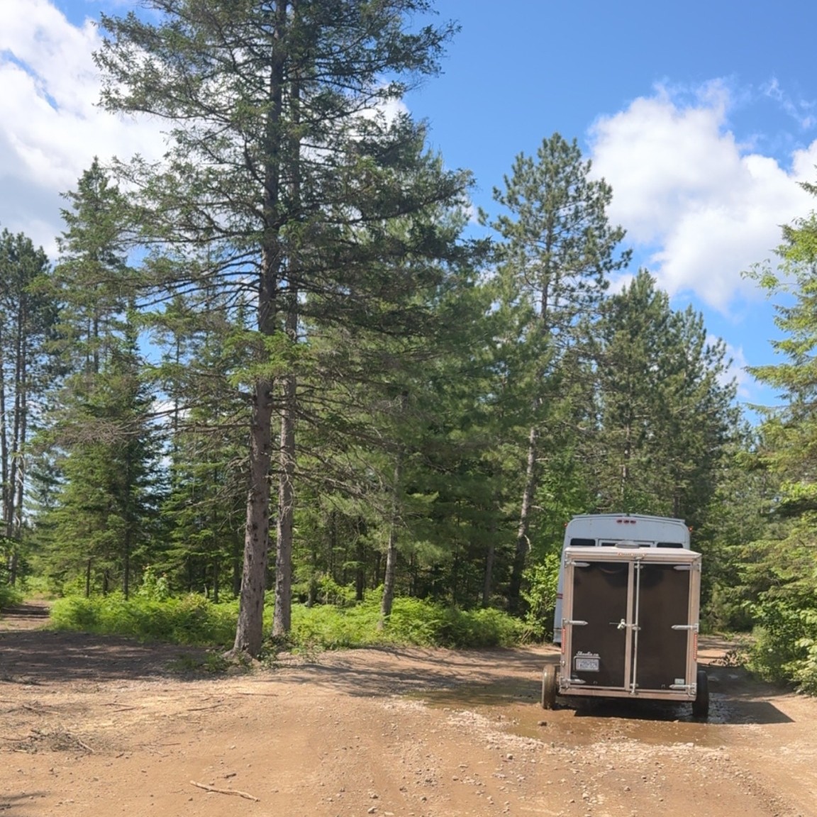 La forêt nous appelle...🌲📞
#buslife #forêt #forestvibes #forestiscalling