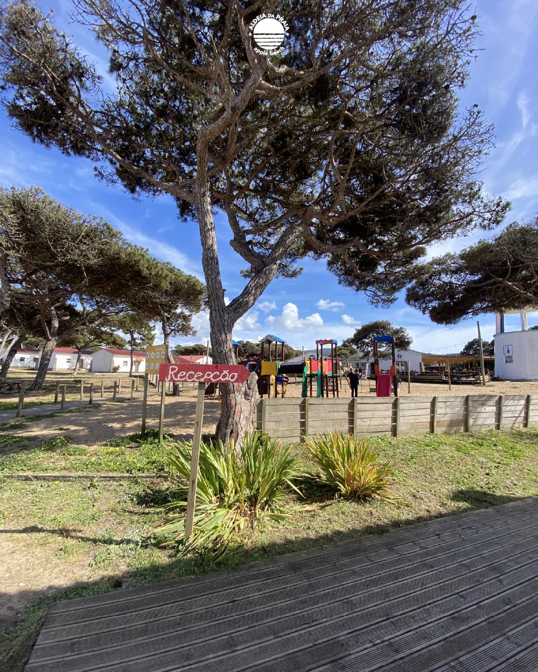 🇵🇹 Ouvimos o mar, cheiramos o pinhal, acordamos com sol.
🇬🇧 Ocean sounds. Pine smells. Morning light.
#Aldeiadapraia #Sintra #Lisboa #StayAtAldeia
