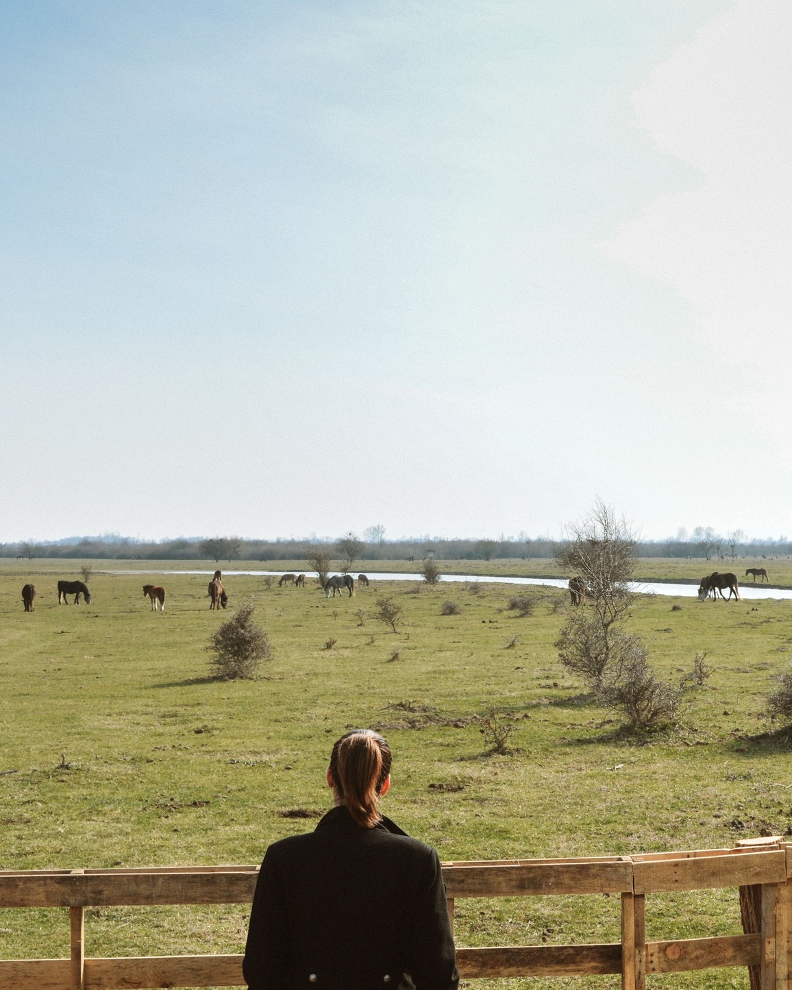 Priroda se ne budi naglo.
Ona menja tempo. Svetlo traje duže. Vazduh je lakši. Tišina više nije zimska.
U Buzzoffskom se ovaj prelaz oseća drugačije.
Pašnjaci dobijaju boju. Jutra imaju miris proleća. Grad ostaje dovoljno daleko da misli konačno uspore. 🌸
Ovo je vreme za sporija buđenja, meku posteljinu, doručak napolju i reset koji ne zahteva mnogo – samo da se pomerite iz svakodnevice.
Ako vam je potreban detoks od grada, sada je pravi trenutak. ☘
20% popusta na sve rezervacije traje do 01. marta.
Rezervišite svoj termin dok su datumi još dostupni. 🌞