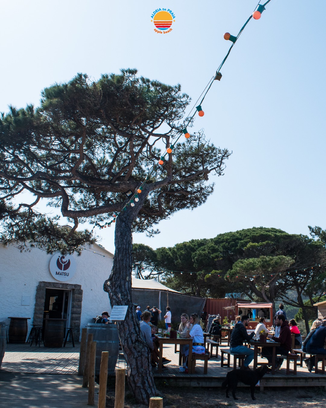 🇵🇹 Fevereiro é curto. Mas com sol, pizza, surf e copos na mão… nem se notou.
🇬🇧 February is short. But with sun, pizza, surf and drinks in hand… who noticed?
#AldeiaDaPraia #Sintra #Lisboa
