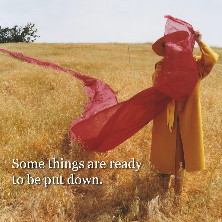 Long-term competence often hides quiet depletion.
The body adapts.
It compensates.
It carries more than is sustainable.
Release does not always look like change.
Sometimes it looks like setting something down.
What is your body ready to stop carrying?