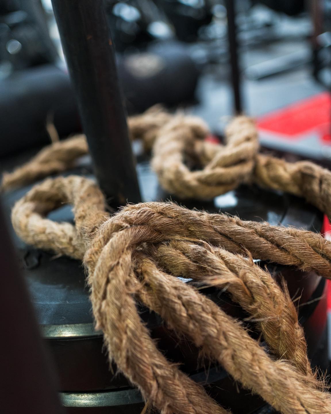 Walk into Meta Movement and you’ll get it instantly.
We’ve built a proper training playground: power racks, cables, leg press, dumbbells up to 50kg, sleds, strongman kit, an astro track, and full Hyrox stations - plus all the little bits that make training special.
Whatever you’re training for - strength, fitness, Hyrox, or just feeling better - you won’t be limited by the room. You’ll be supported by it.