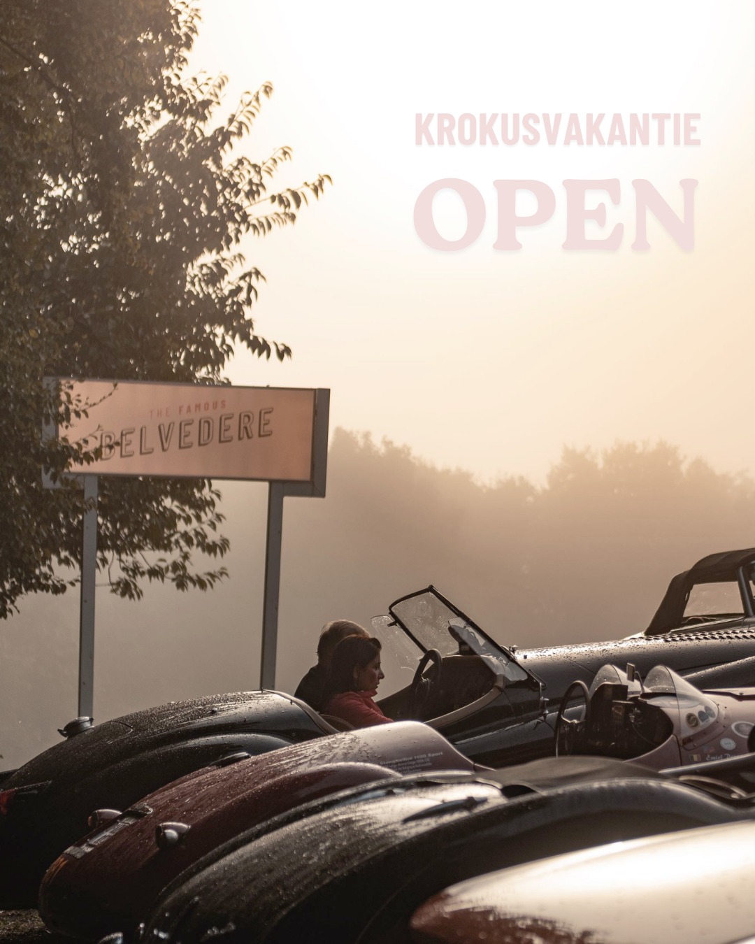𝐊𝐫𝐨𝐤𝐮𝐬𝐯𝐚𝐤𝐚𝐧𝐭𝐢𝐞! 🌼
Tijdens de krokusvakantie vliegen we er extra in van woensdag tot en met zondag.
Meer tijd voor ribbetjes, picon, koffie met zoetigheden en lange tafels vol plezier.
Kom binnenwaaien na een frisse wandeling op de Kemmelberg of nestel je gezellig binnen!