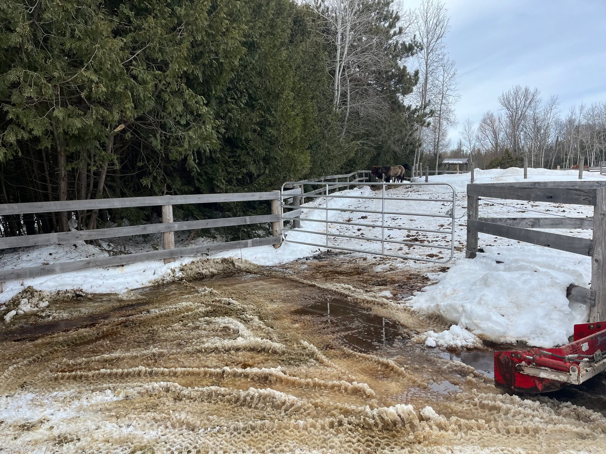 #TrackTipTuesday #TTT Snow melt always has a pathway. When drainage points aren’t clear in winter, water can pool and refreeze, gradually altering the shape and slope of your track.
Proactive snow management helps maintain proper flow and protects the integrity of the system.
Our online course From Paddock to Paradise includes tons of detailed lessons for how to plan and implement a track lifestyle for your horses, ponies, or donkeys.
From Paddock To Paradise | ONTW https://share.google/cEPySQXwzFxSfIIFr
#tracksystem #frompaddocktoparadise #onlinecourse